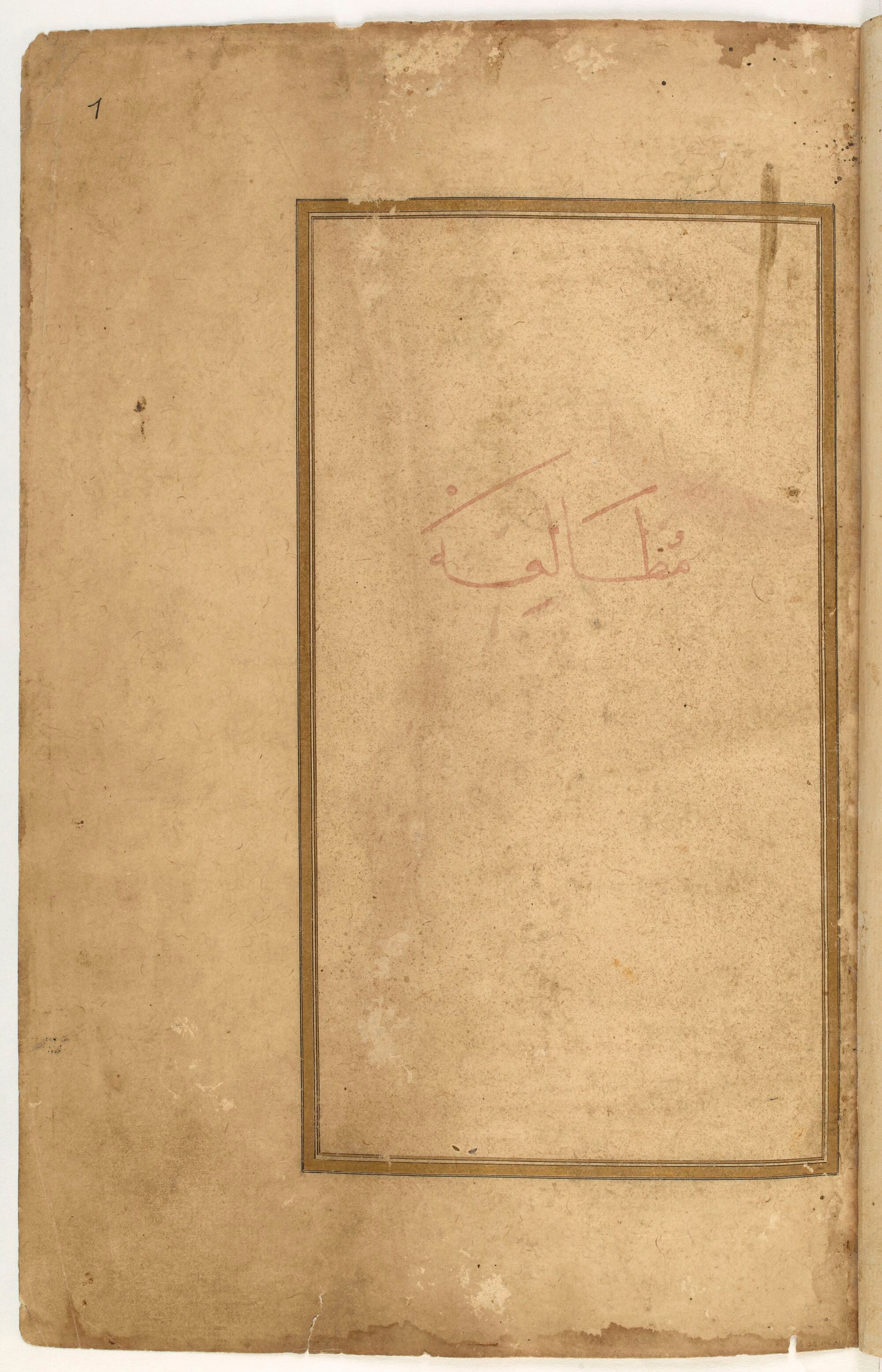 Wonders of Creatures