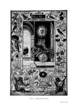 The Splendour of the Sun