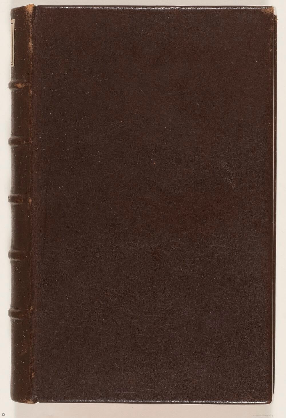 Platonic Theology on the Immortality of Souls