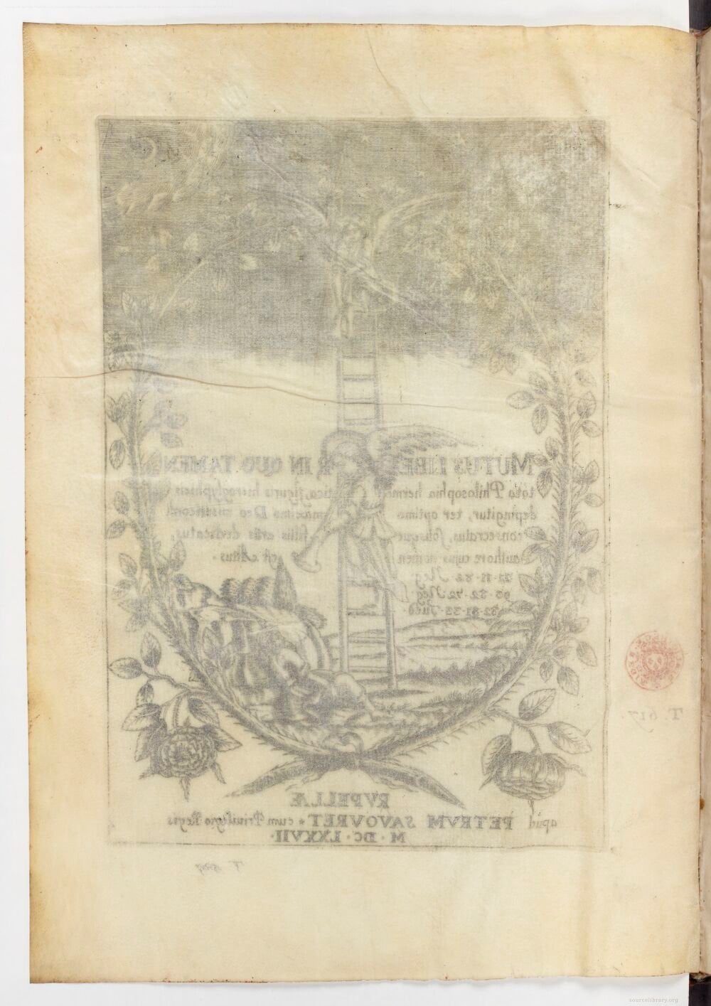 Mutus Liber (The Silent Book)