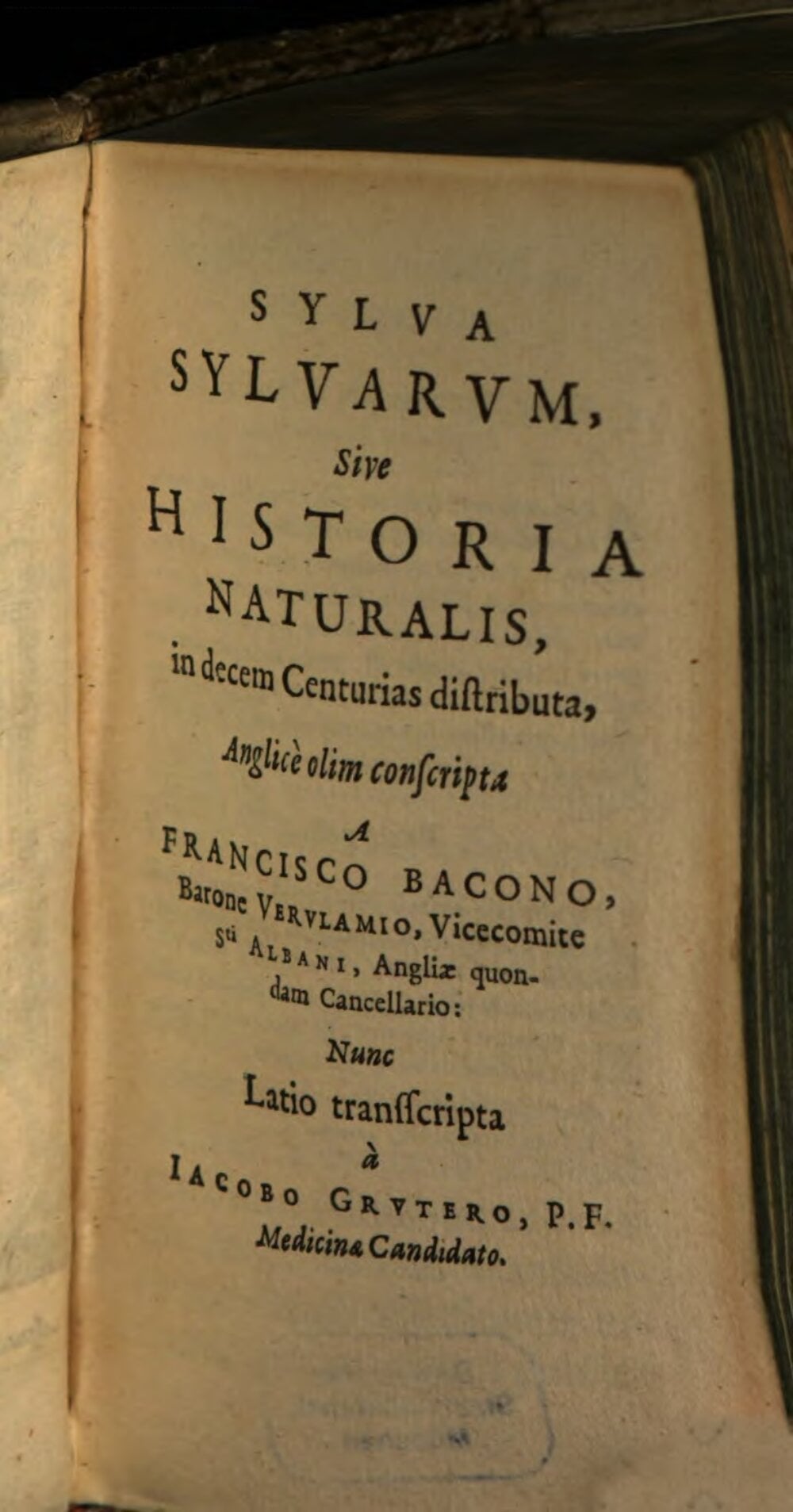 Sylva Sylvarum (Latin edition)