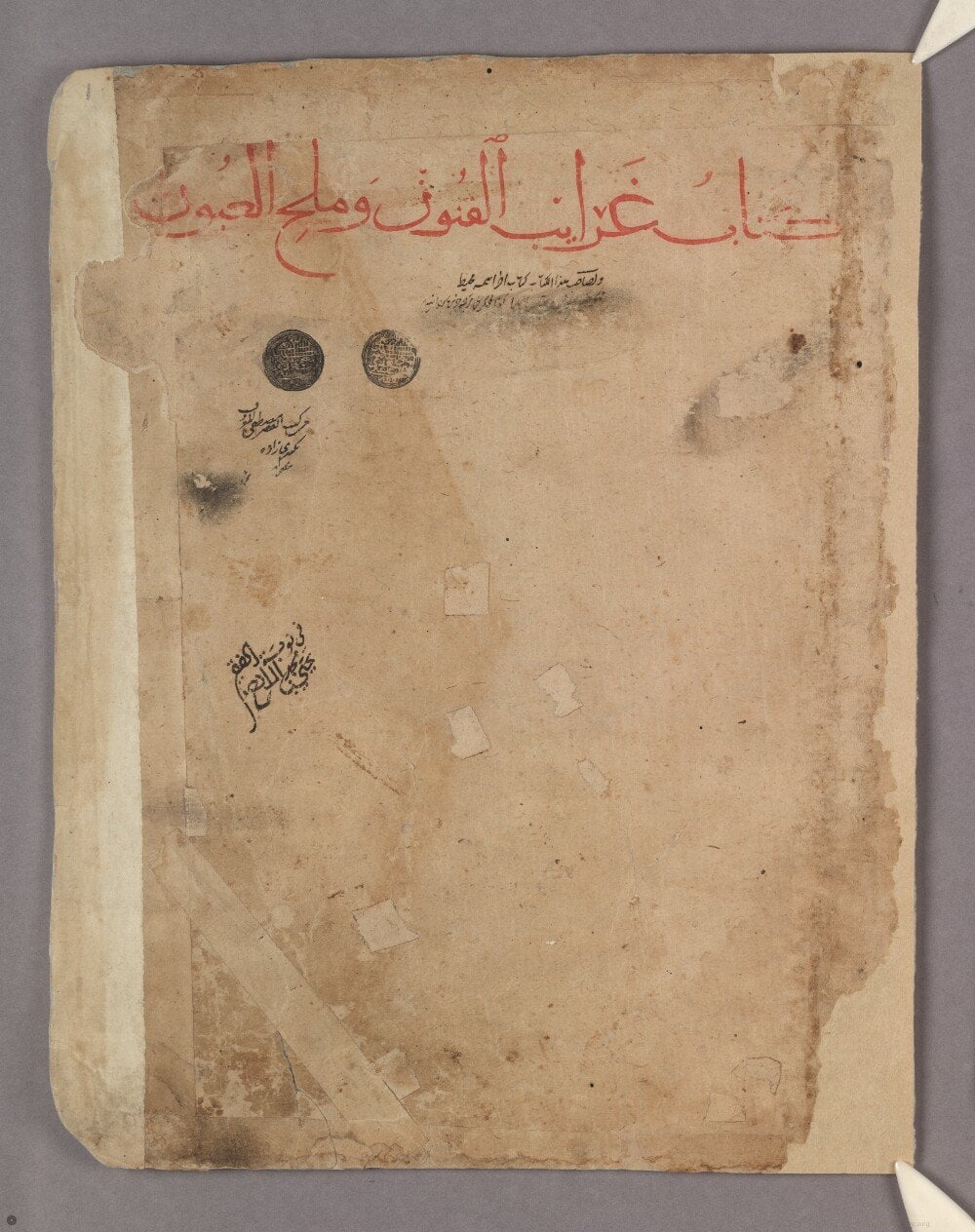 The Book of Curiosities