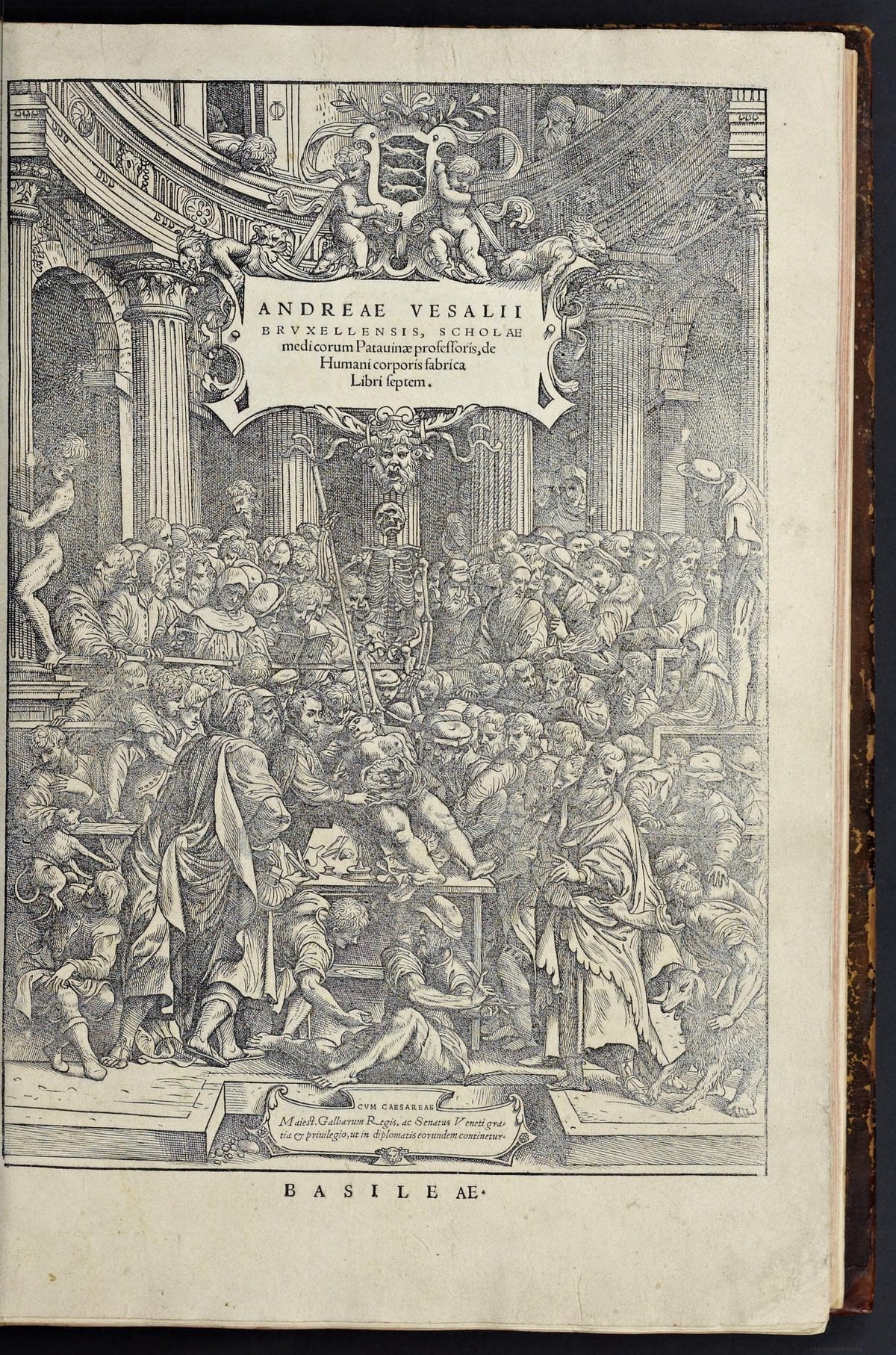 On the Fabric of the Human Body (De Humani Corporis Fabrica)