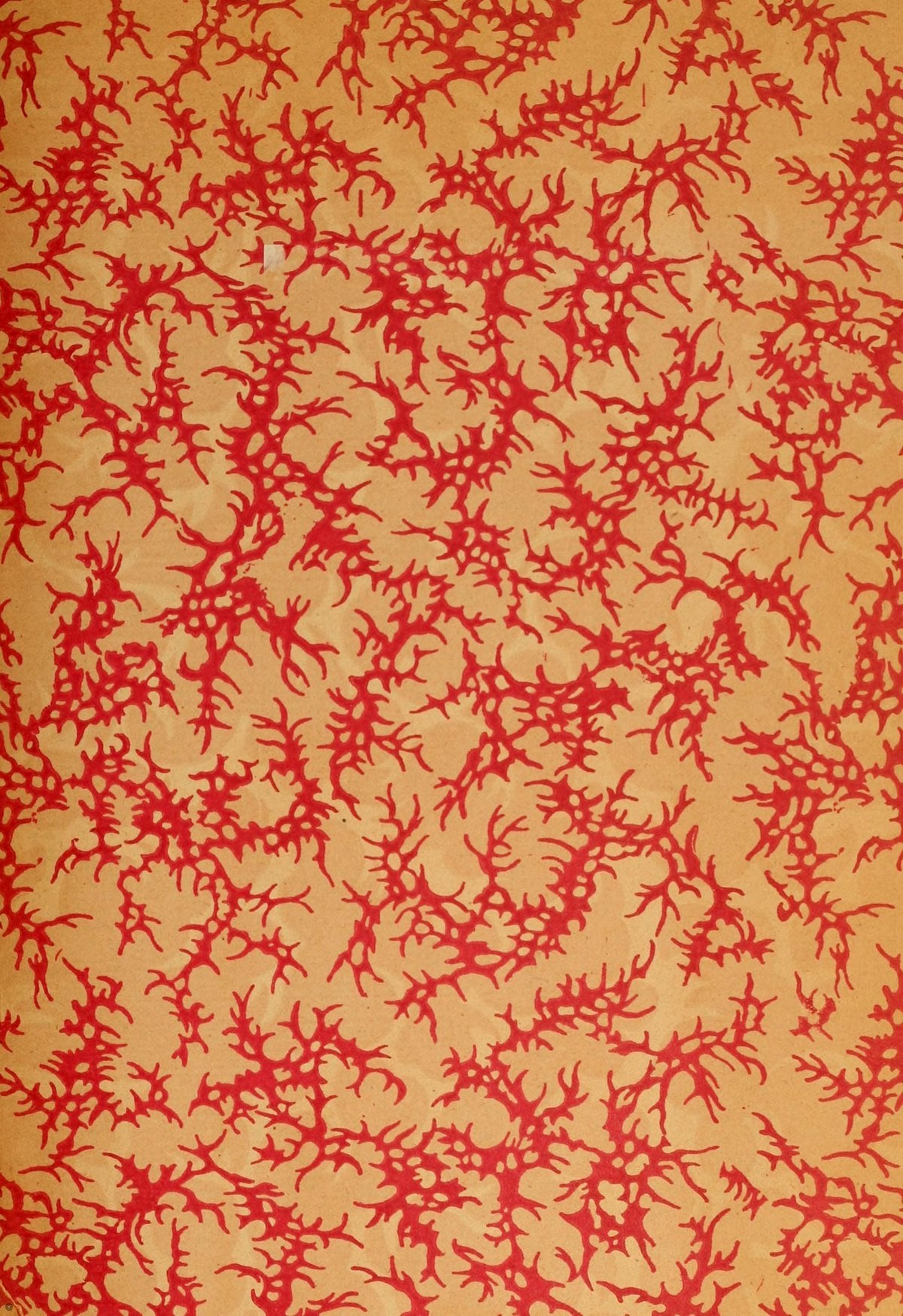 The World: Works of Descartes, Volume 11