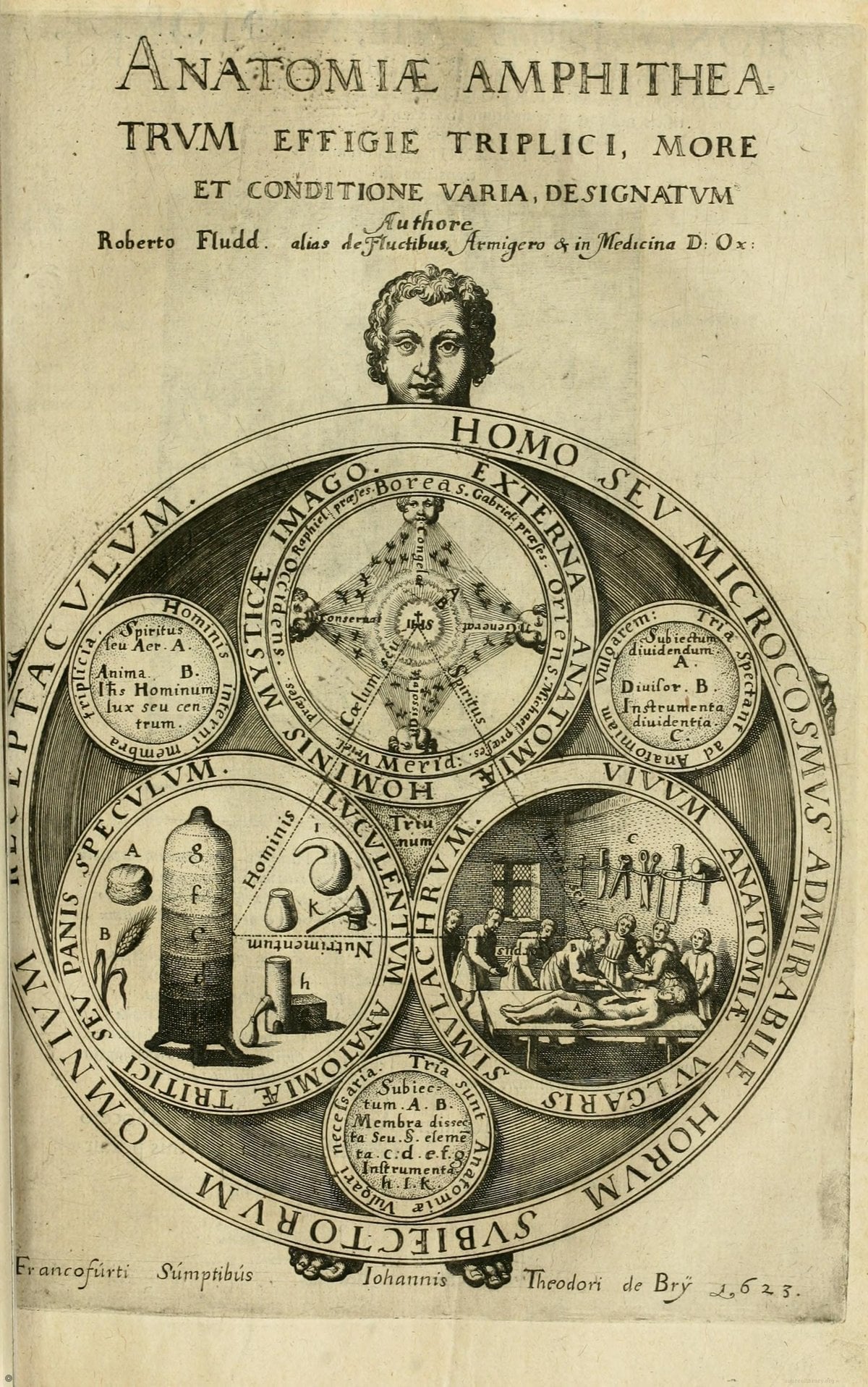 Amphitheatre of Anatomy