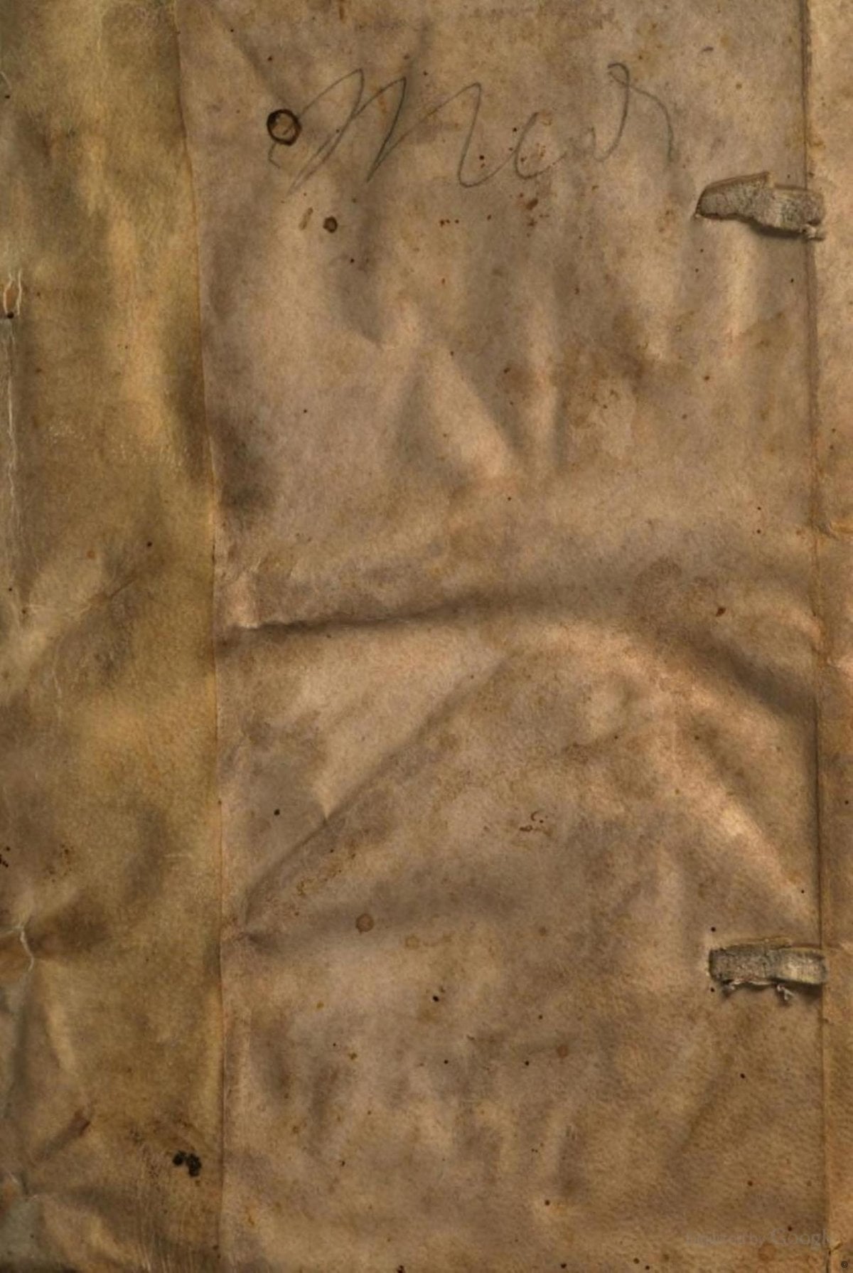 On the Nature of Plants