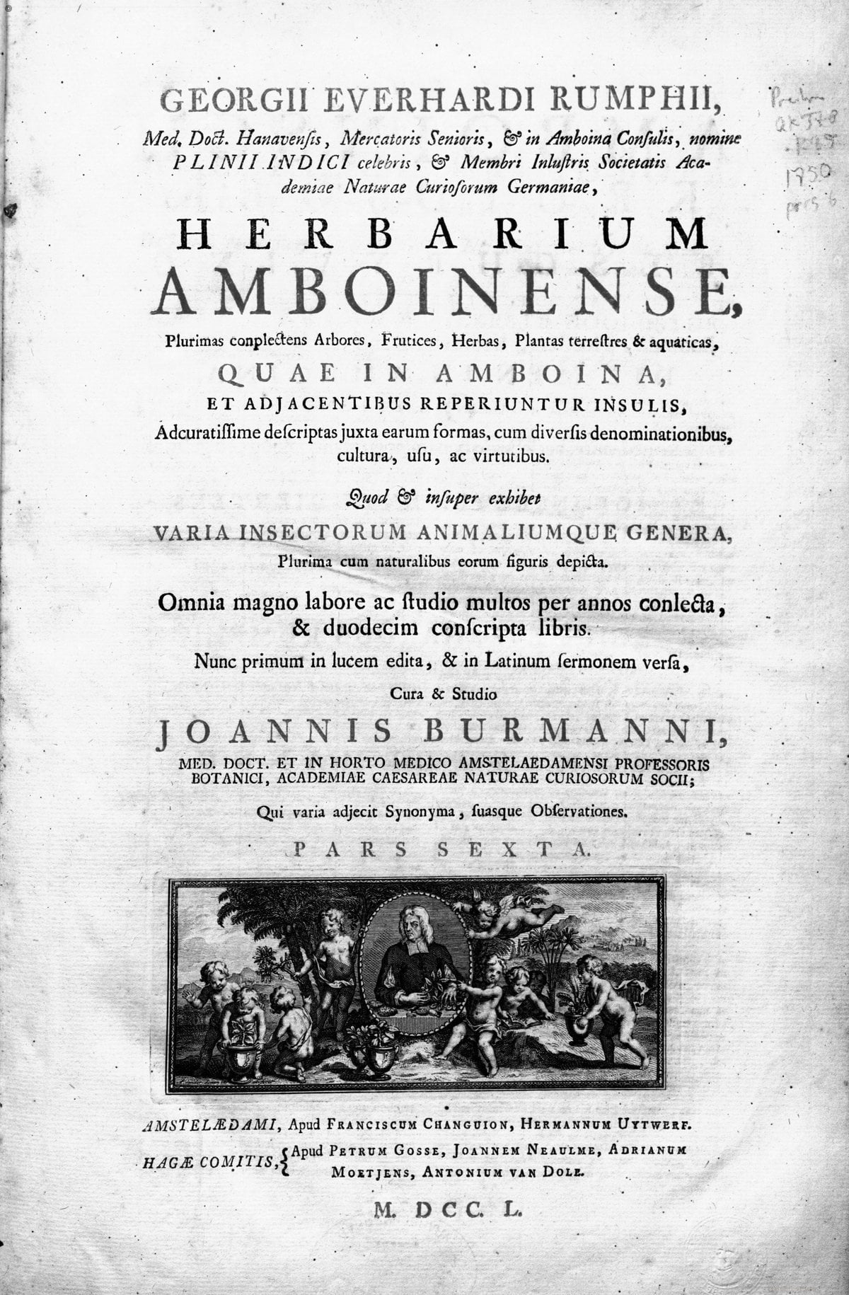 The Ambonese Herbal, Vol. 4