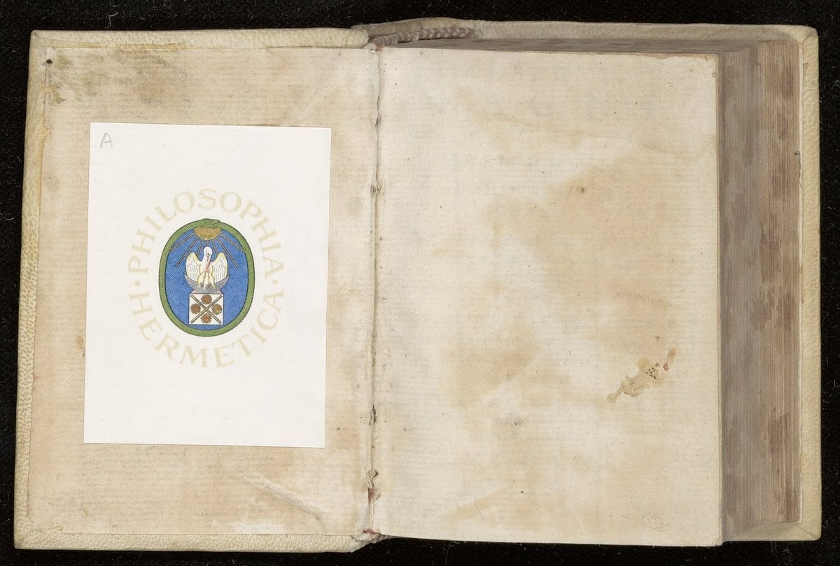 On the secrets of women. On the virtues of herbs, stones, and animals. On the wonders of the world. On falcons, goshawks, and hawks.