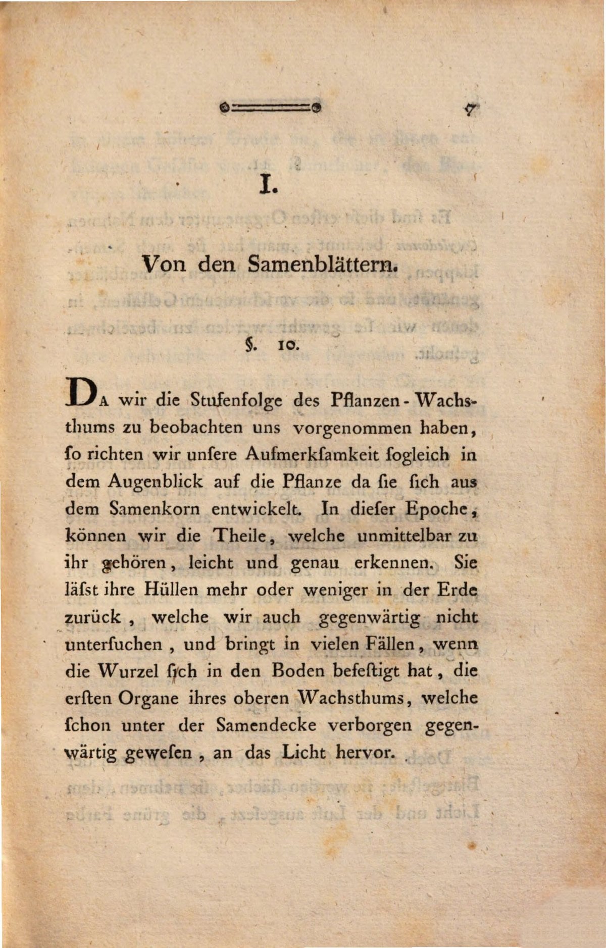 The Metamorphosis of Plants