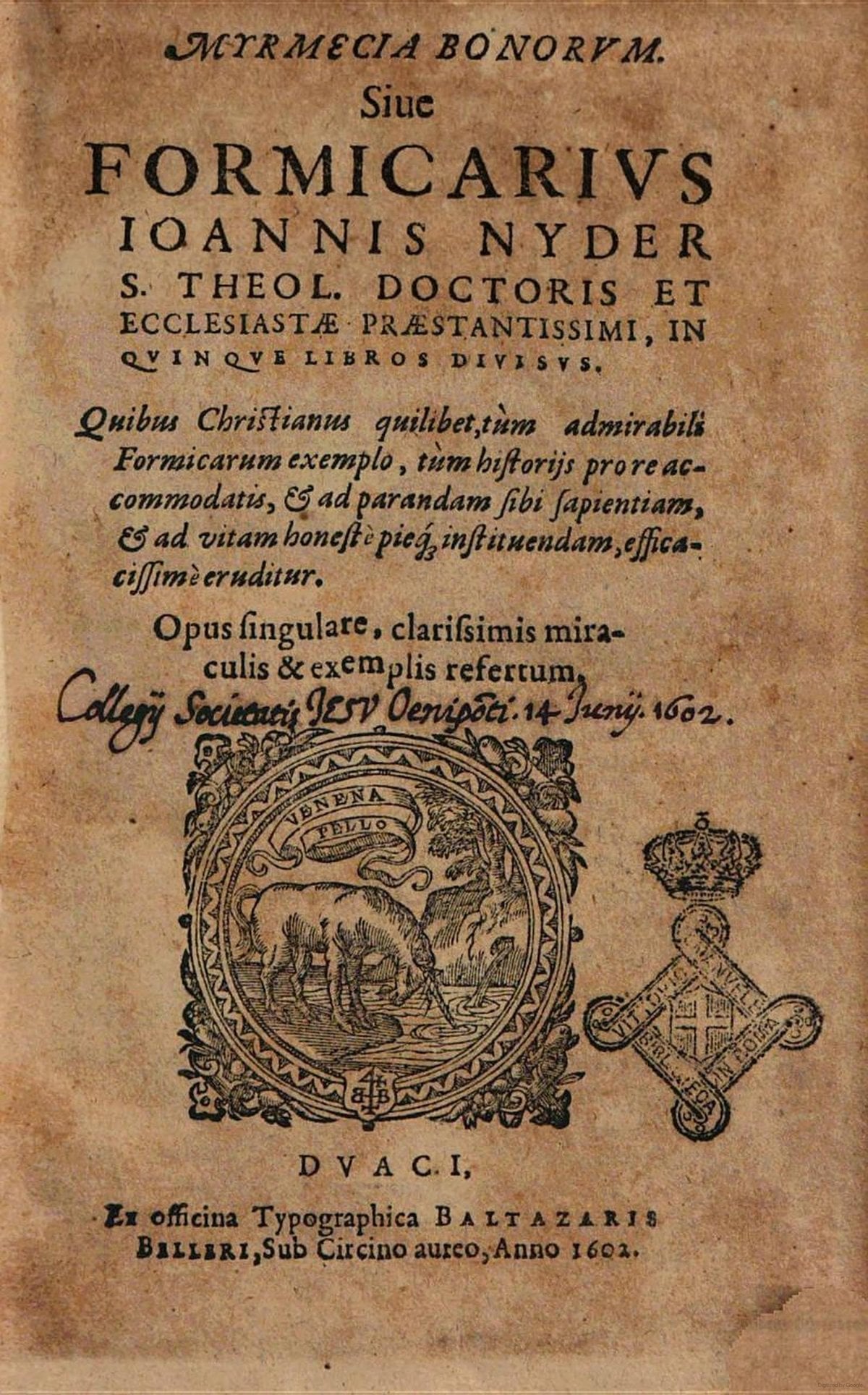 The Anthill (Formicarius)