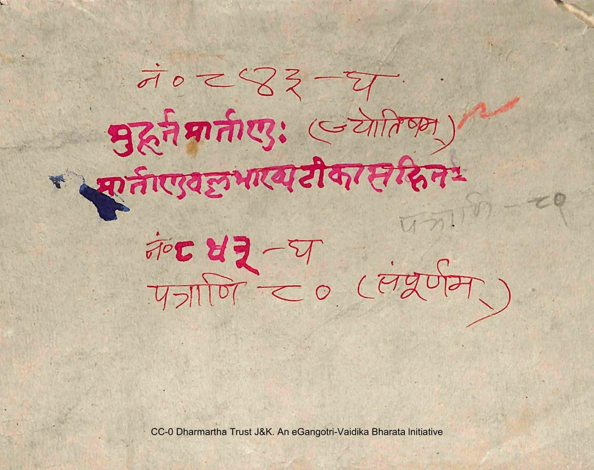 The Sun of Auspicious Timing