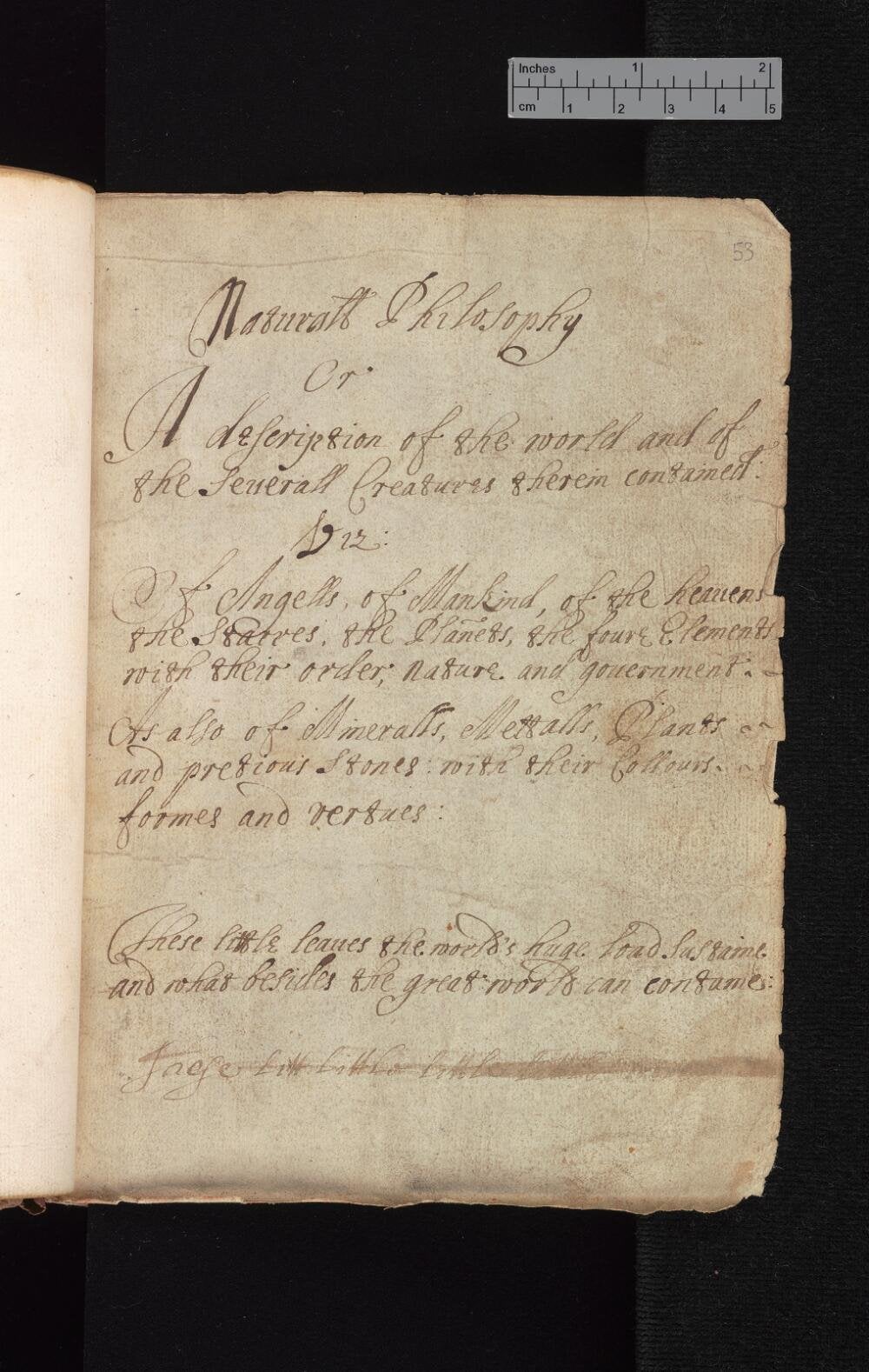 Compilation of alchemical works, including the 'Crowning of Nature' (Cambridge, University Library, MS Gg.1.8)