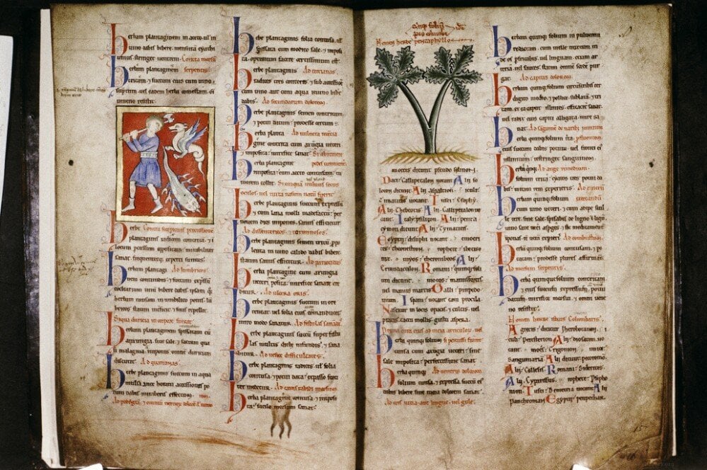 Medical and Herbal Texts