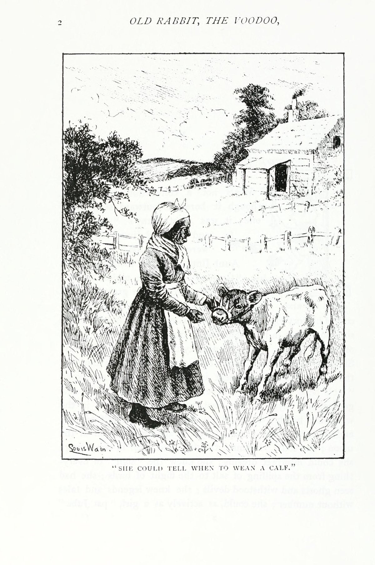 Old Rabbit, the Voodoo, and Other Sorcerers