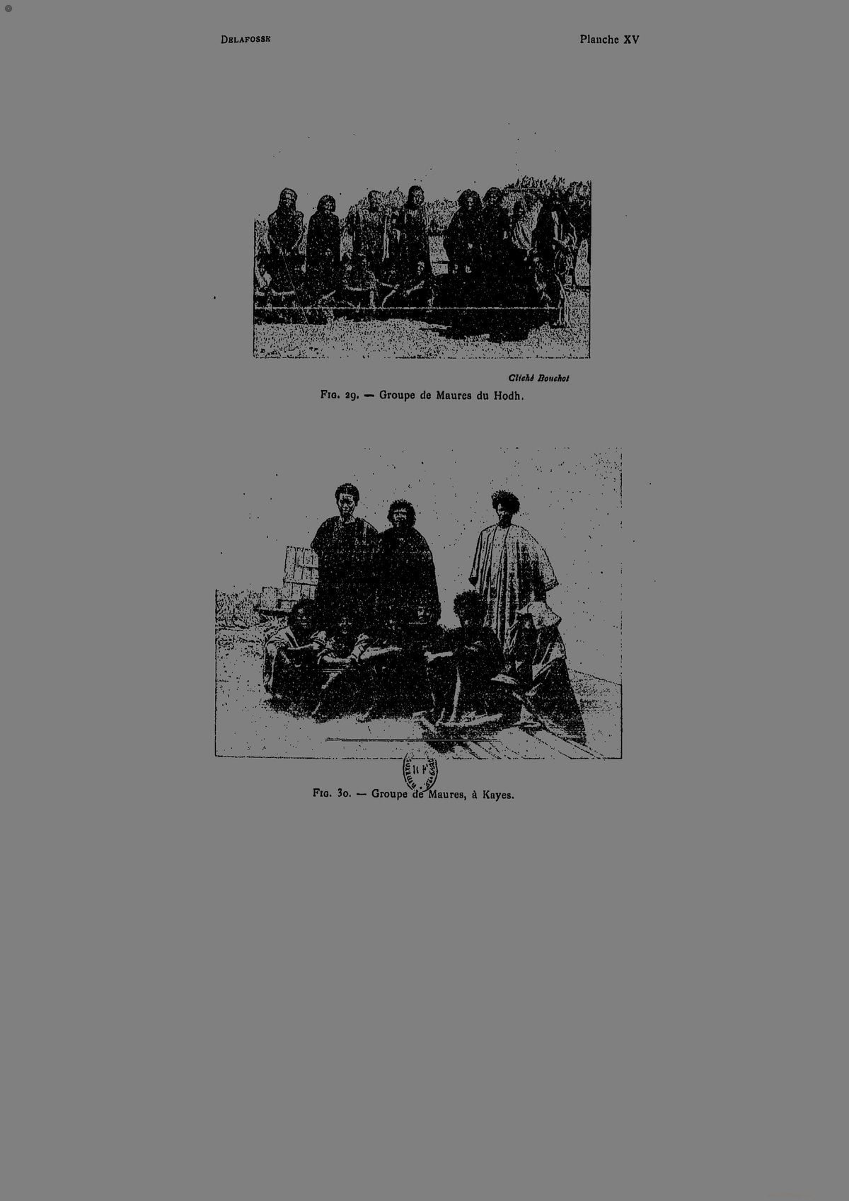 Upper Senegal and Niger, Vol. 2