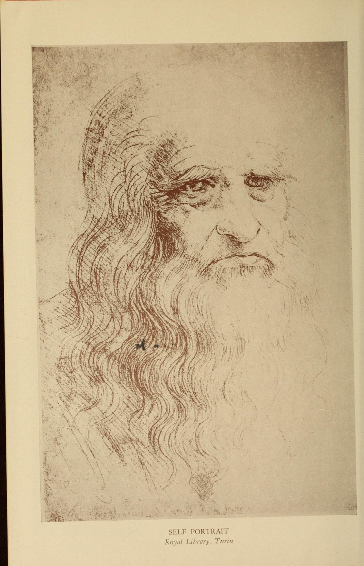 The Notebooks of Leonardo da Vinci
