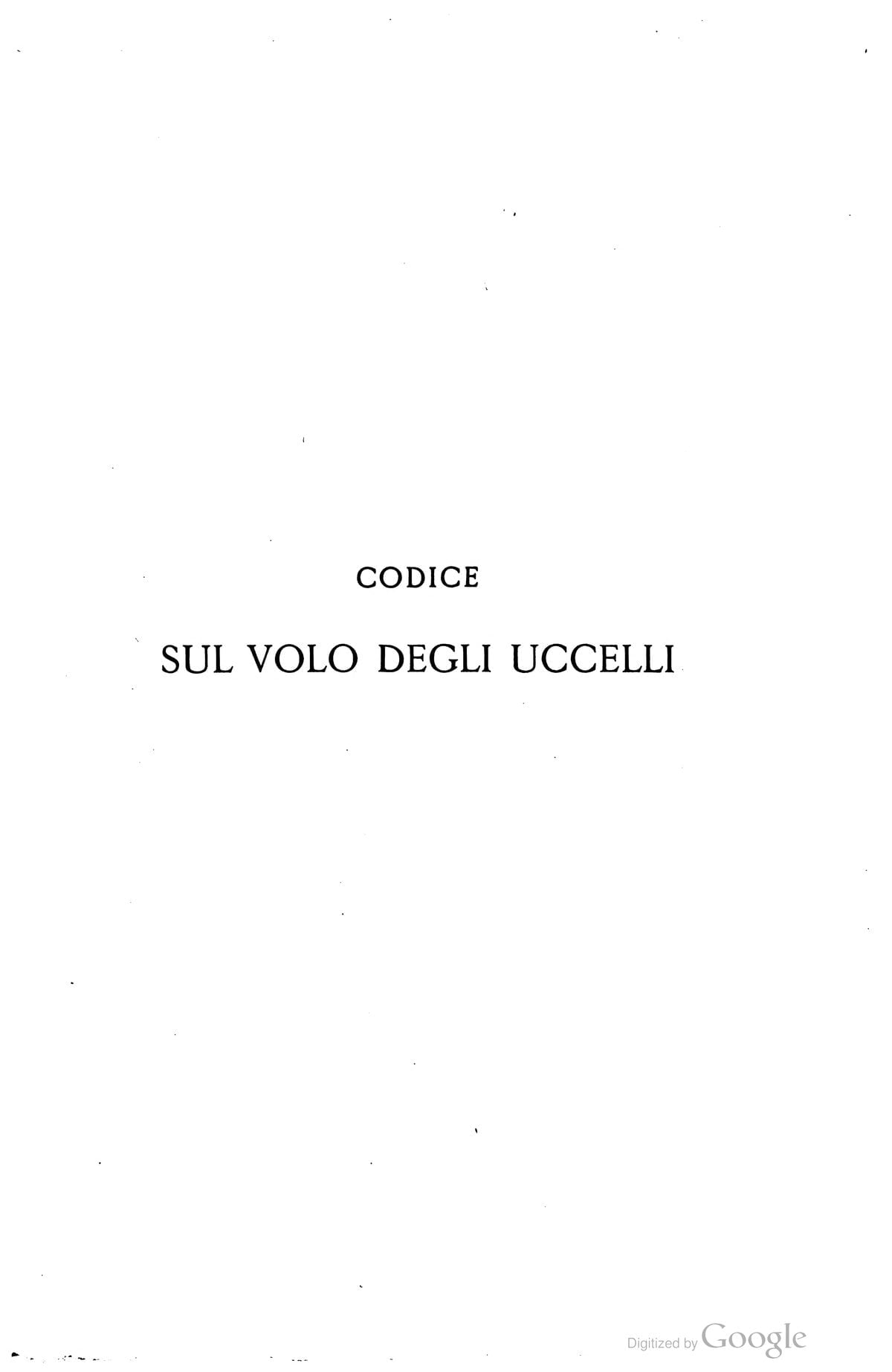 Codex on the Flight of Birds