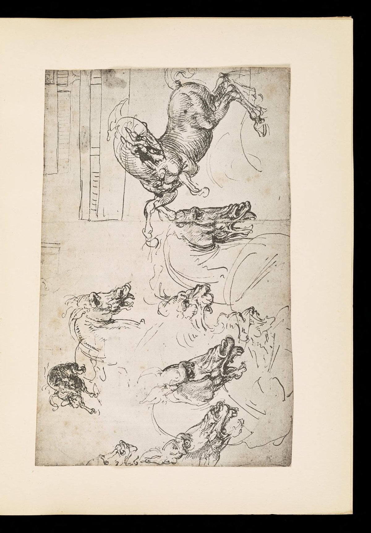 Notes and Sketches on the Anatomy of the Horse, Vol. 2