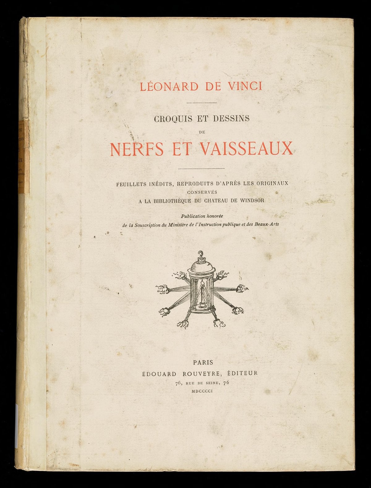 Sketches and Drawings of Nerves and Vessels