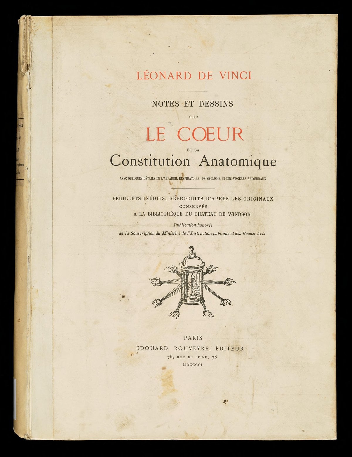 Notes and Drawings on the Heart and its Anatomical Structure