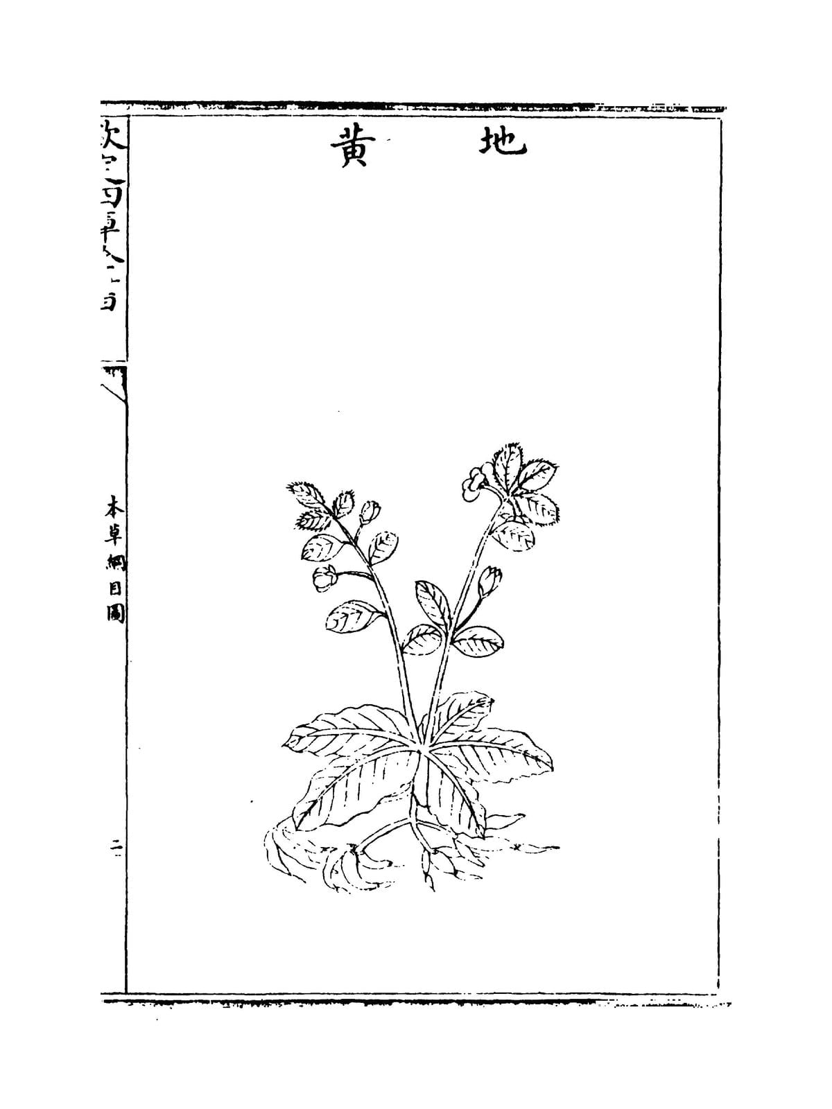 Compendium of Materia Medica