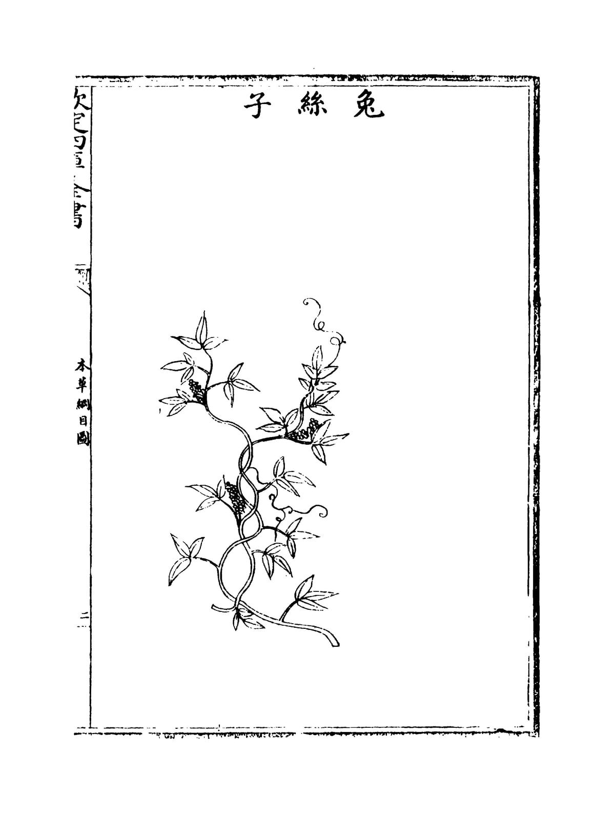 Compendium of Materia Medica
