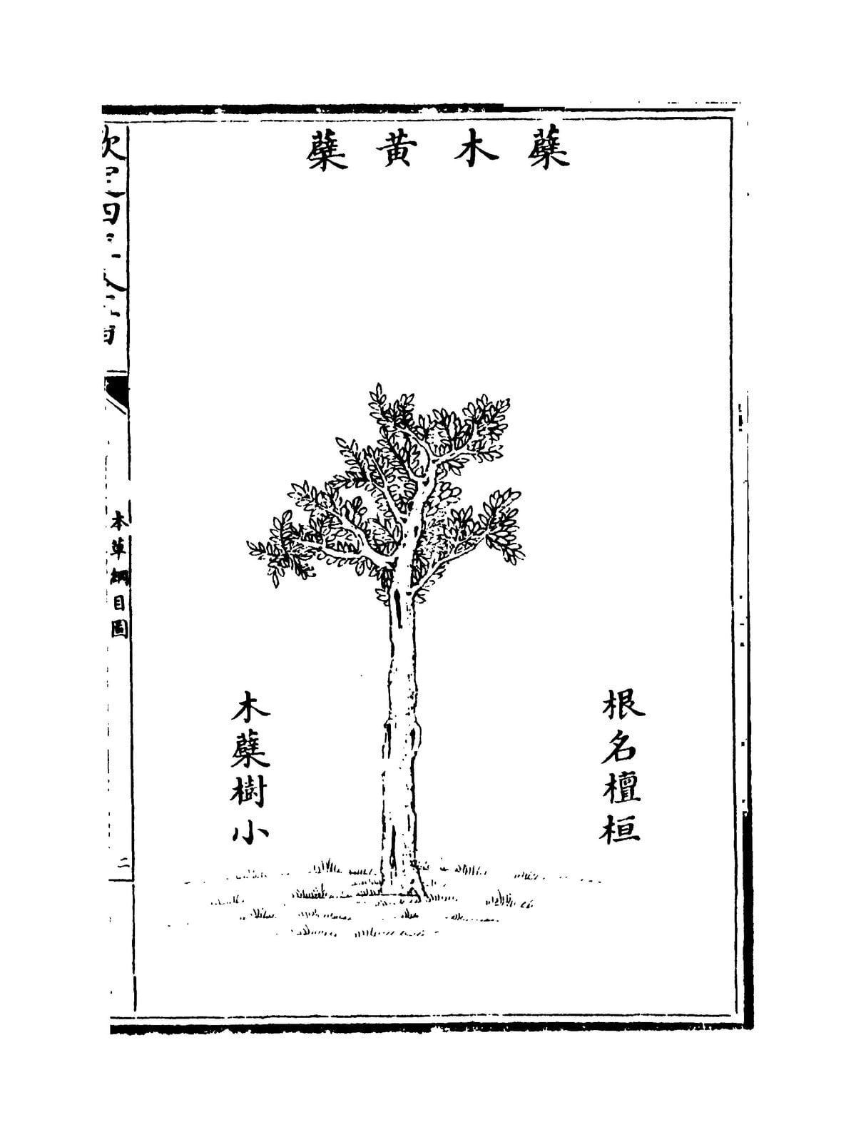 Compendium of Materia Medica