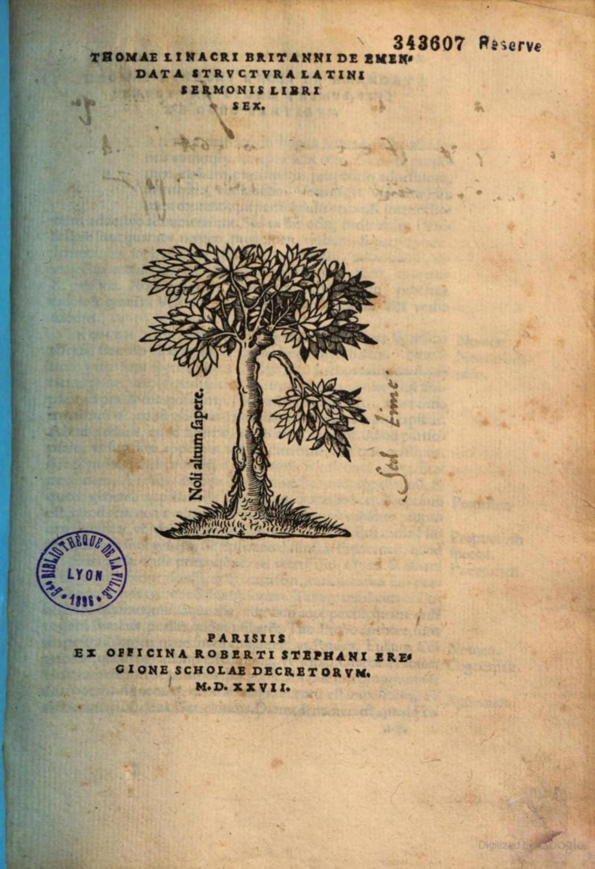 On the Correct Structure of the Latin Language