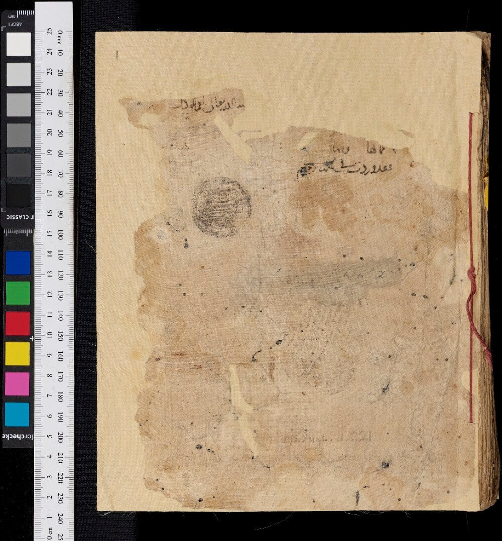 Collected Treatises on Magic and Nature