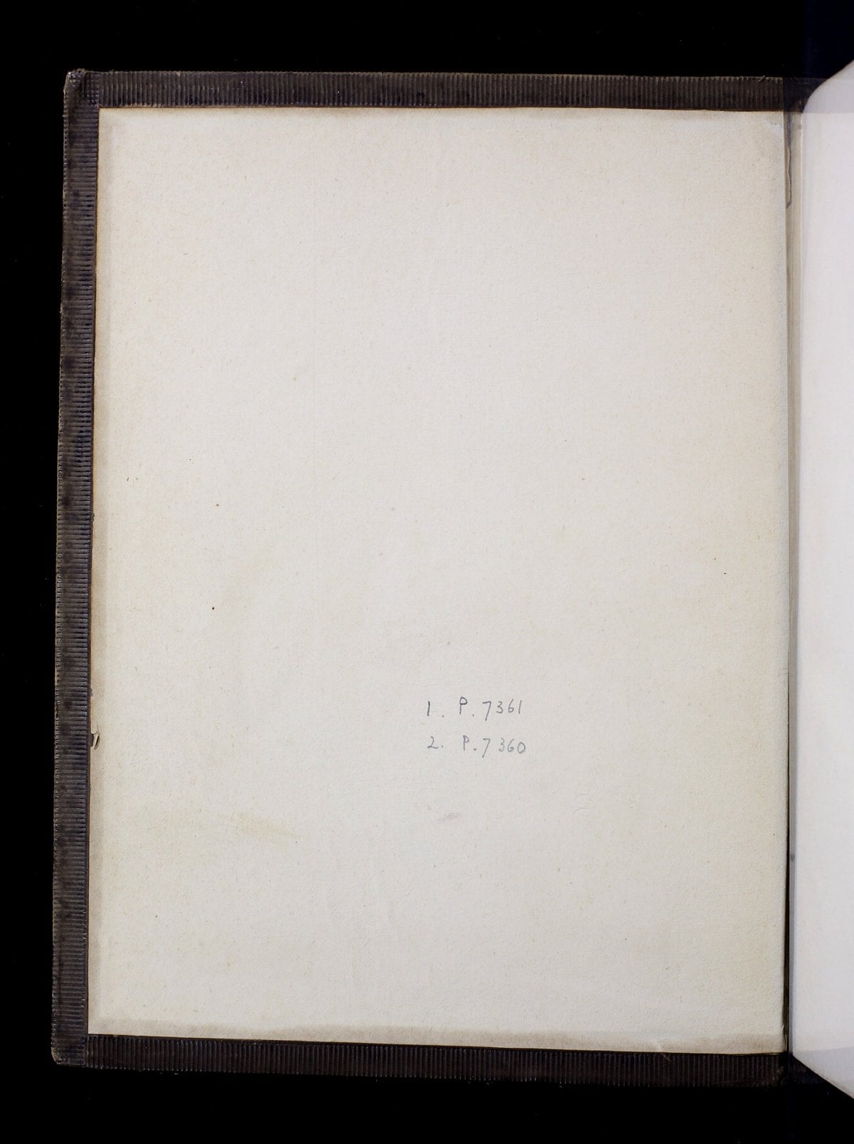 Gorgias and the Apology of Socrates