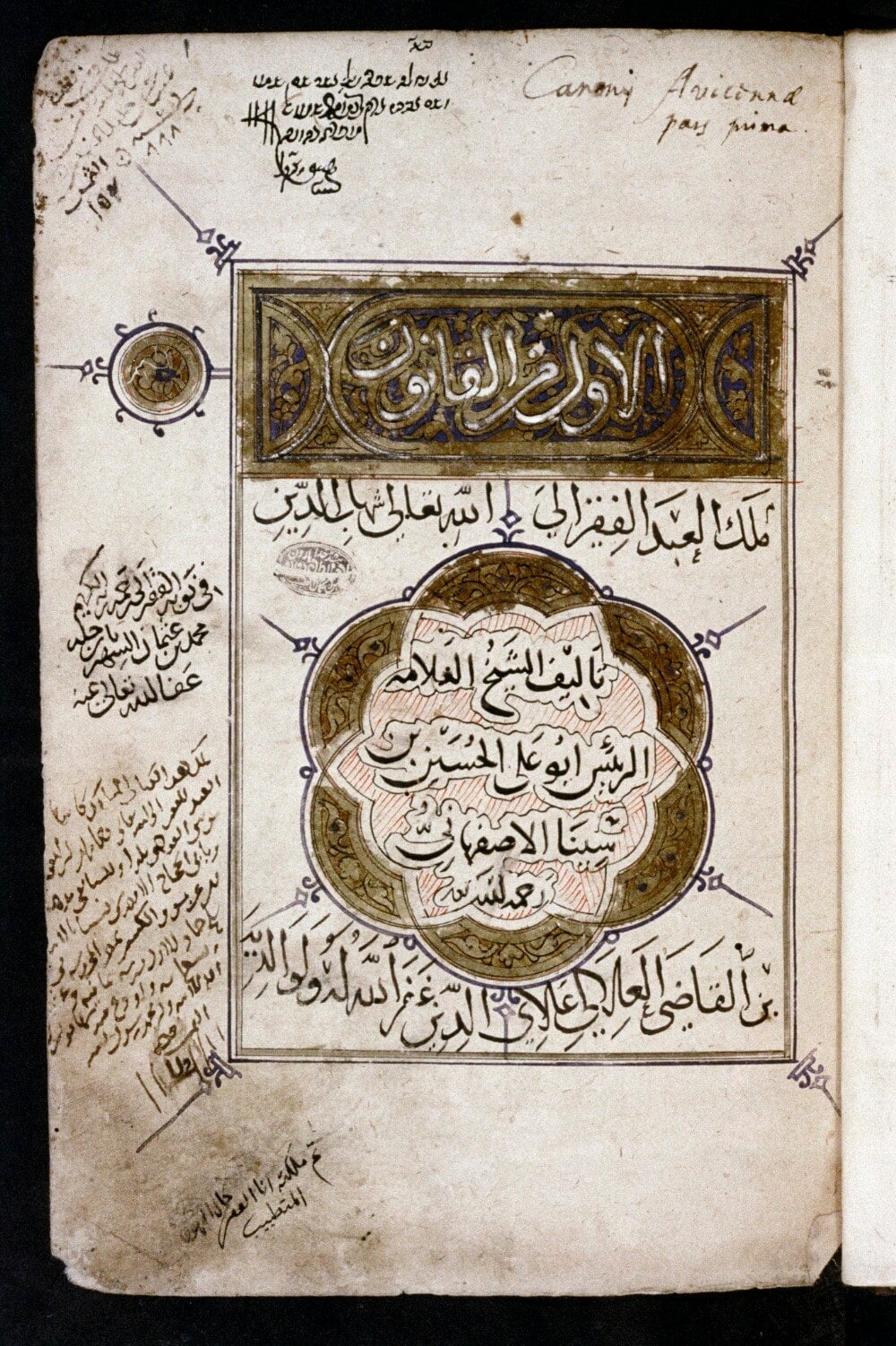 The Canon of Medicine