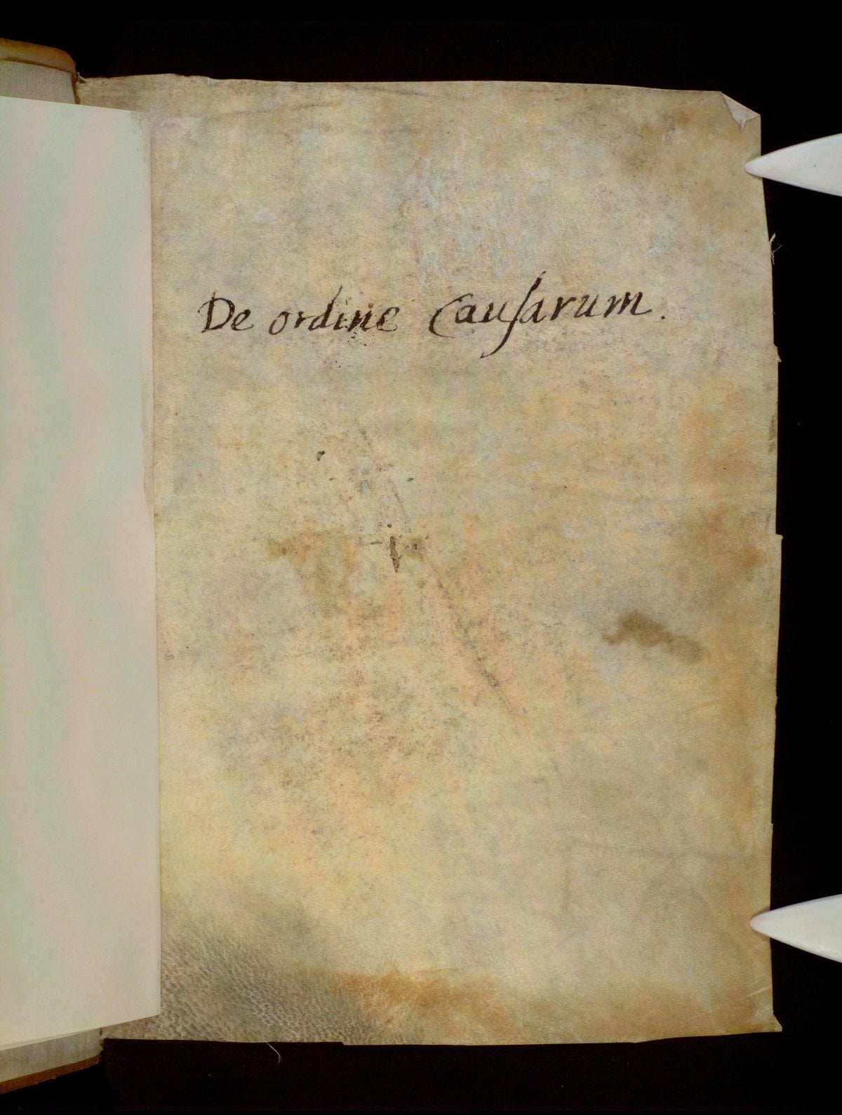 On the Causes and the Process of the Universe