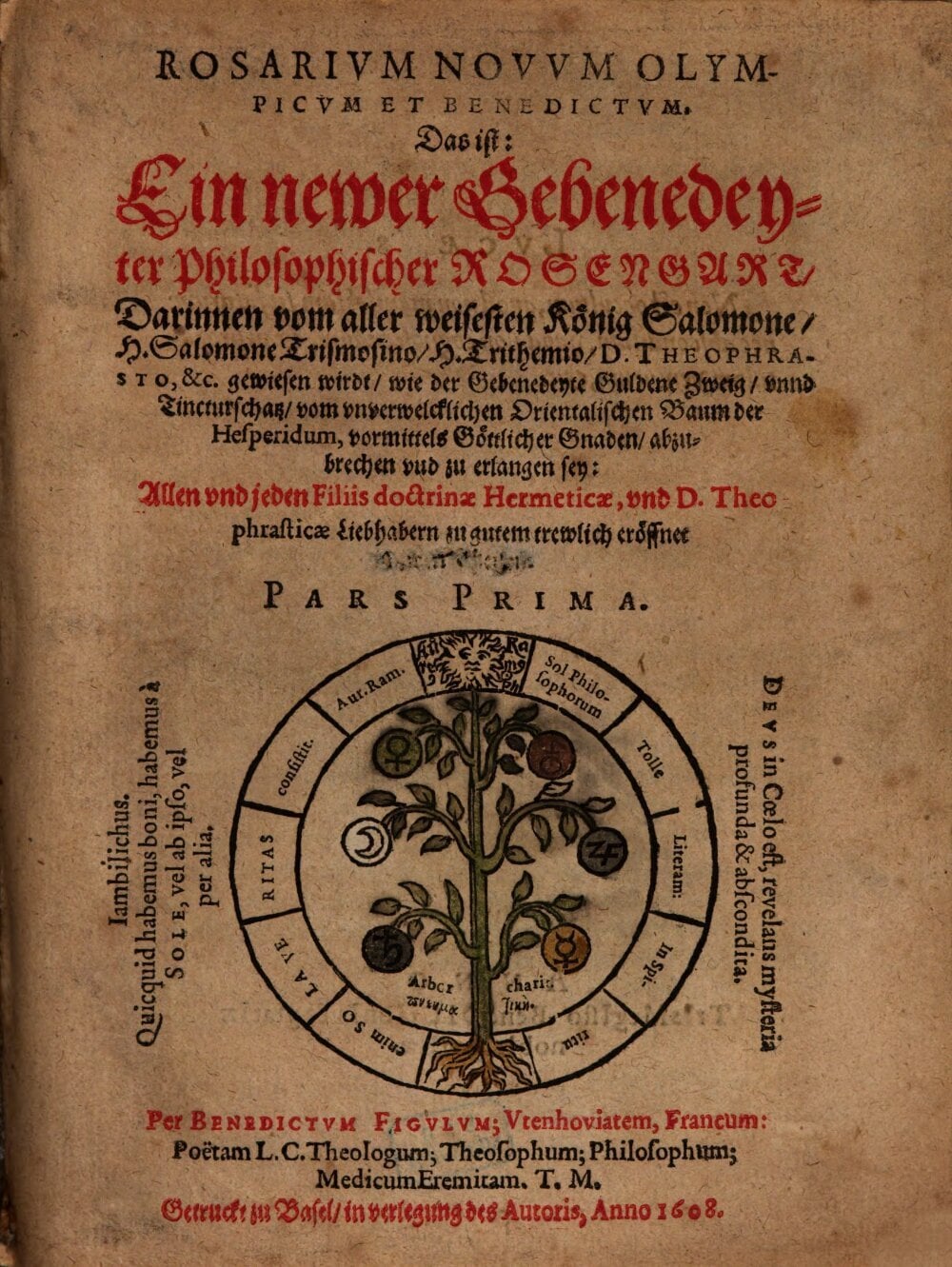 New Olympic and Blessed Rose Garden