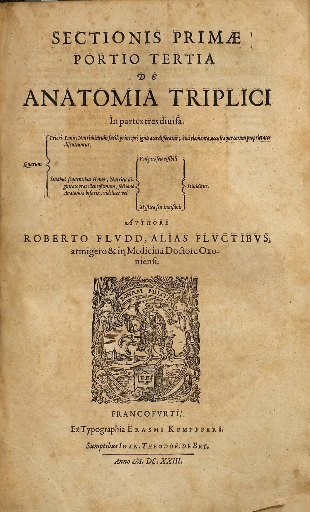 The Amphitheater of Anatomy in a Triple Image