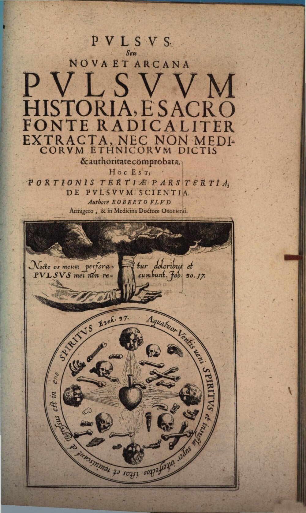 The Pulse, or a New and Secret History of the Pulse