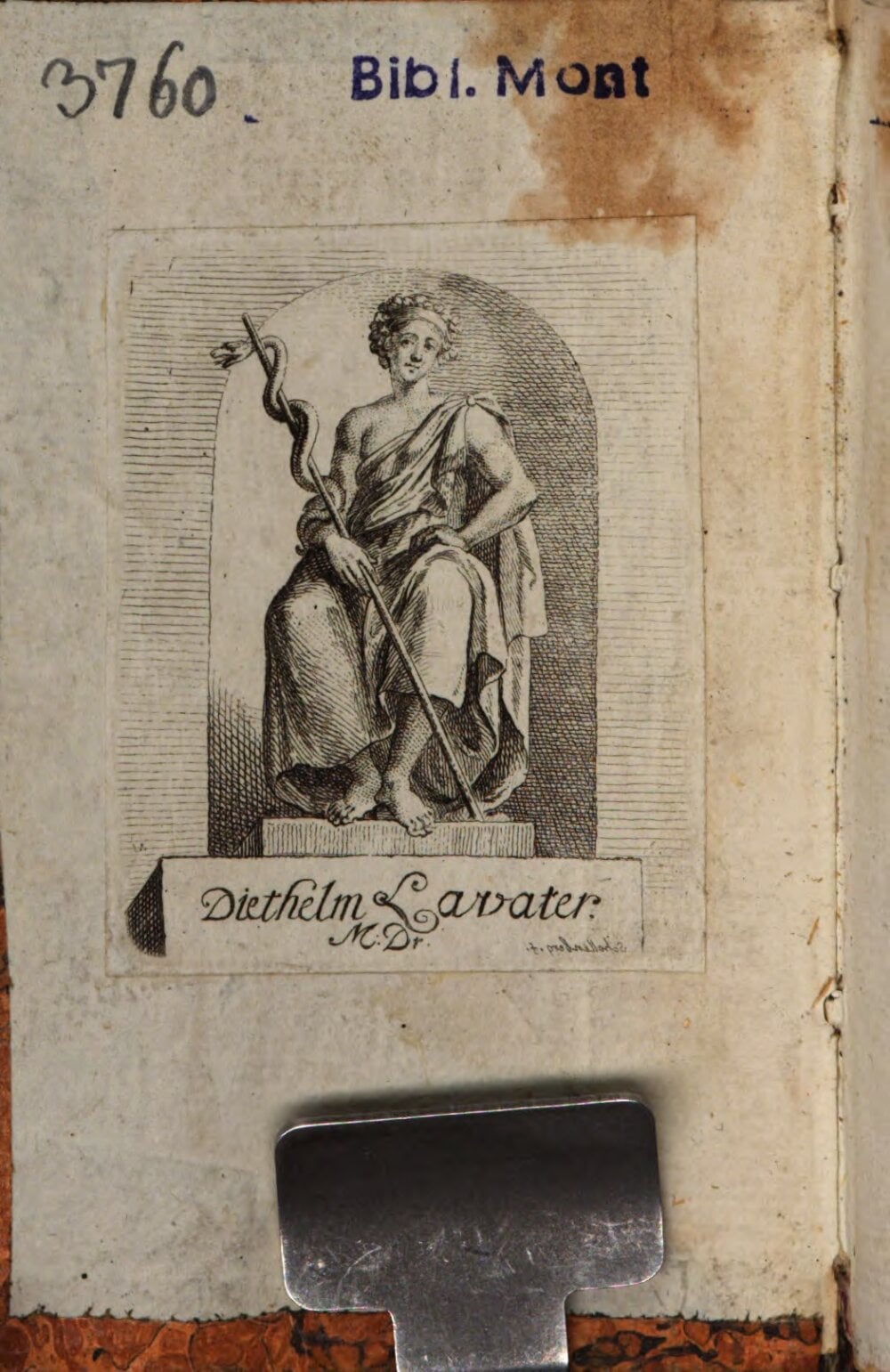 Flora of Switzerland