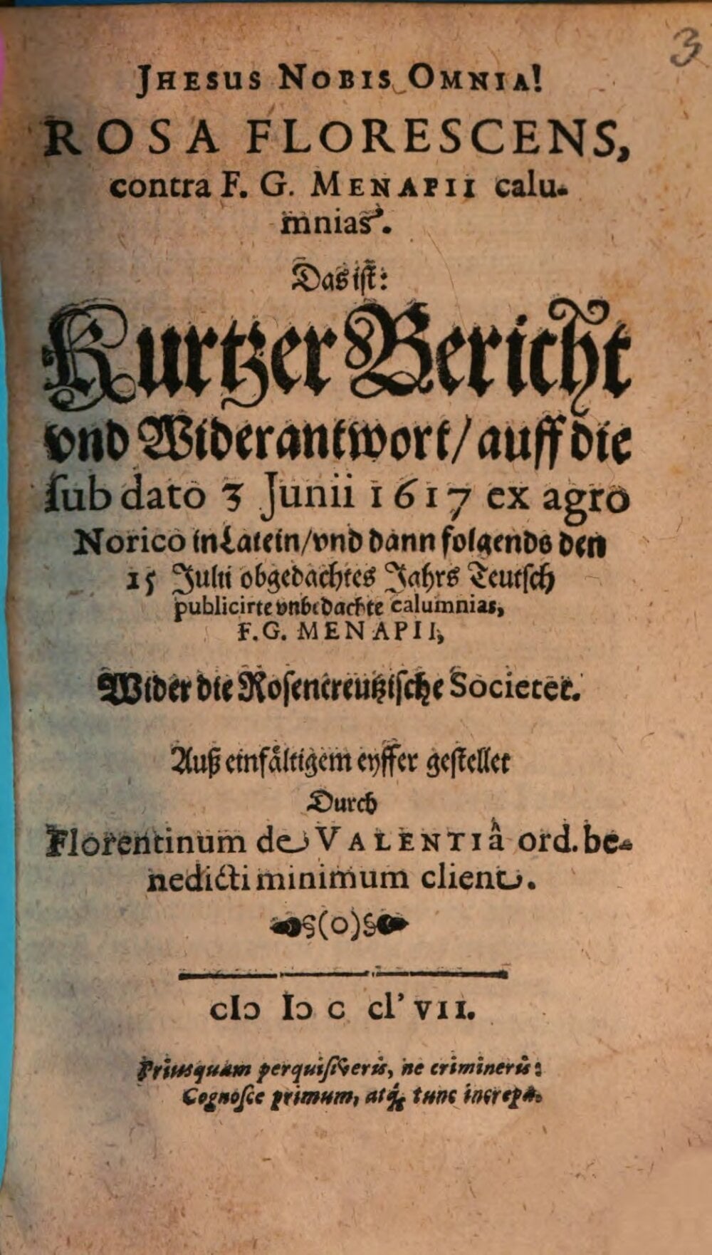 The Blooming Rose (Rosa Florescens)