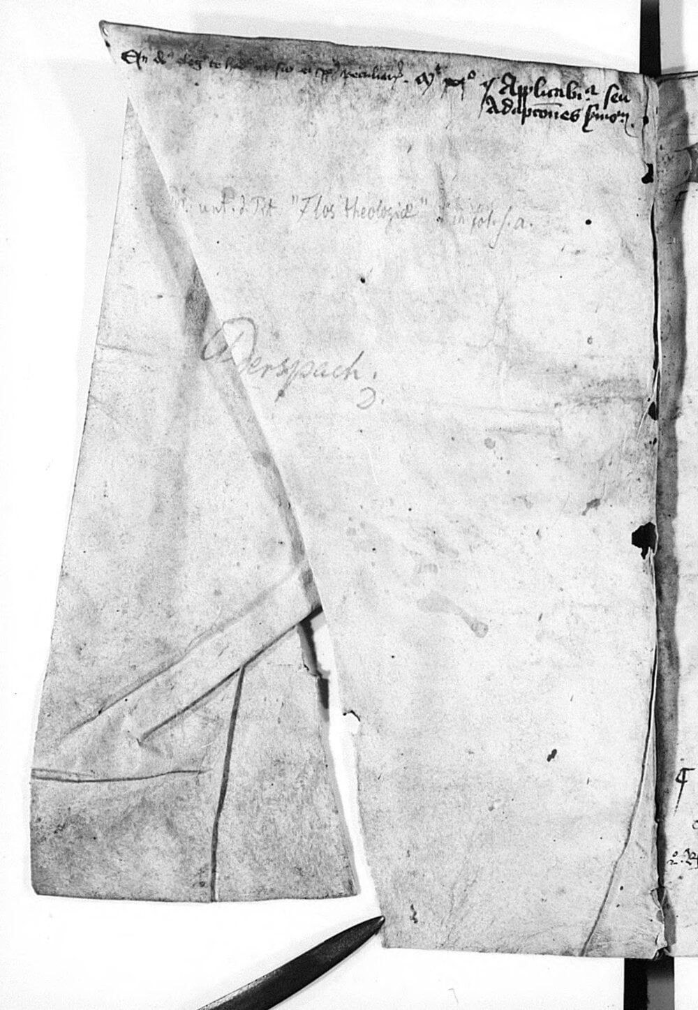 The Flower of Theology (Flos Theologiae)