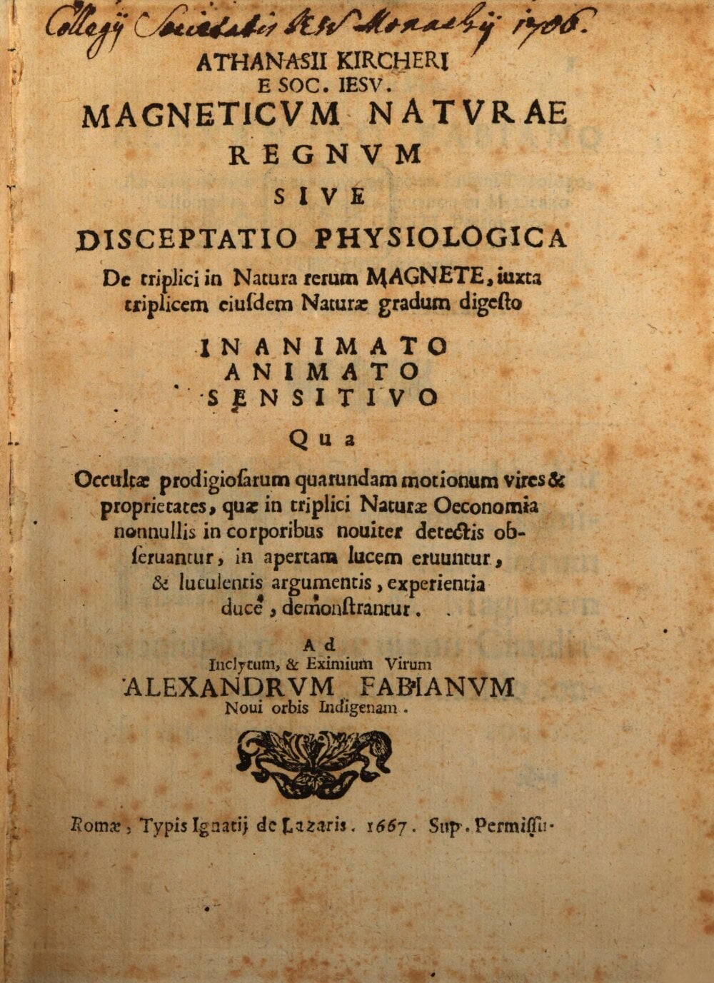 The Magnetic Kingdom of Nature