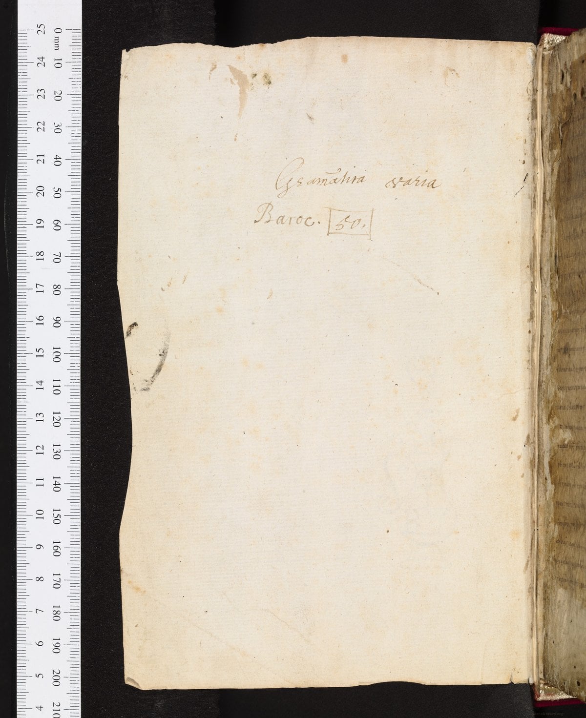 Various Grammatical Works