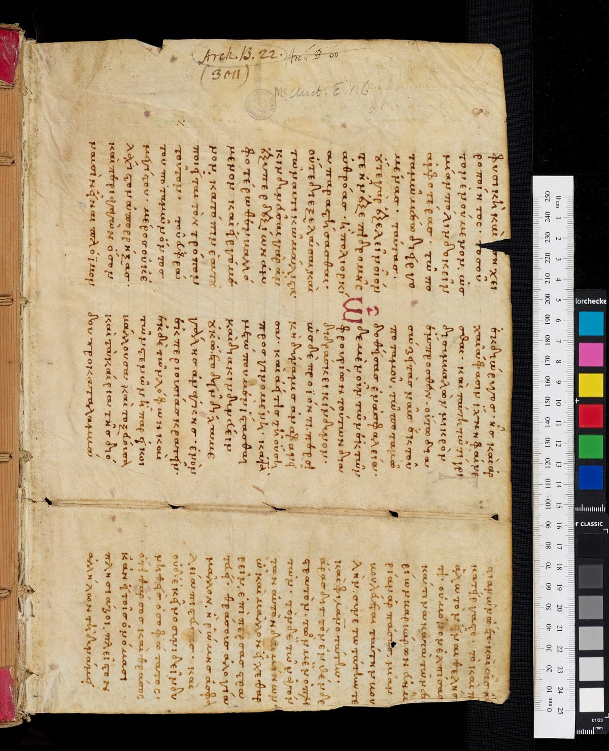 Commentary on the Epistles of Saint Paul