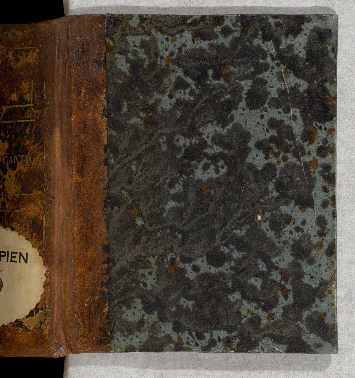 መዝሙረ ዳዊት (Psalms and Apocrypha — Ge'ez, BnF Ethiopien 15)