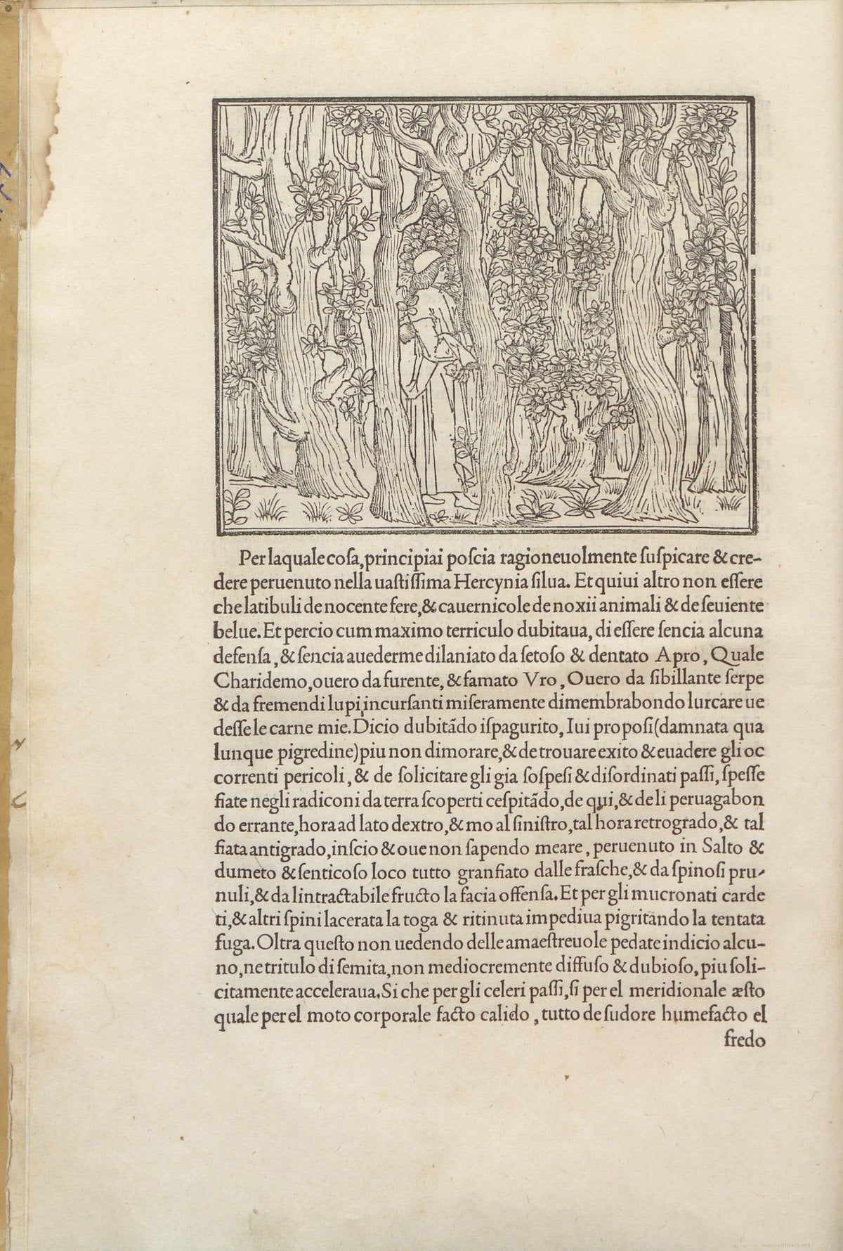 Poliphilo's Strife of Love in a Dream