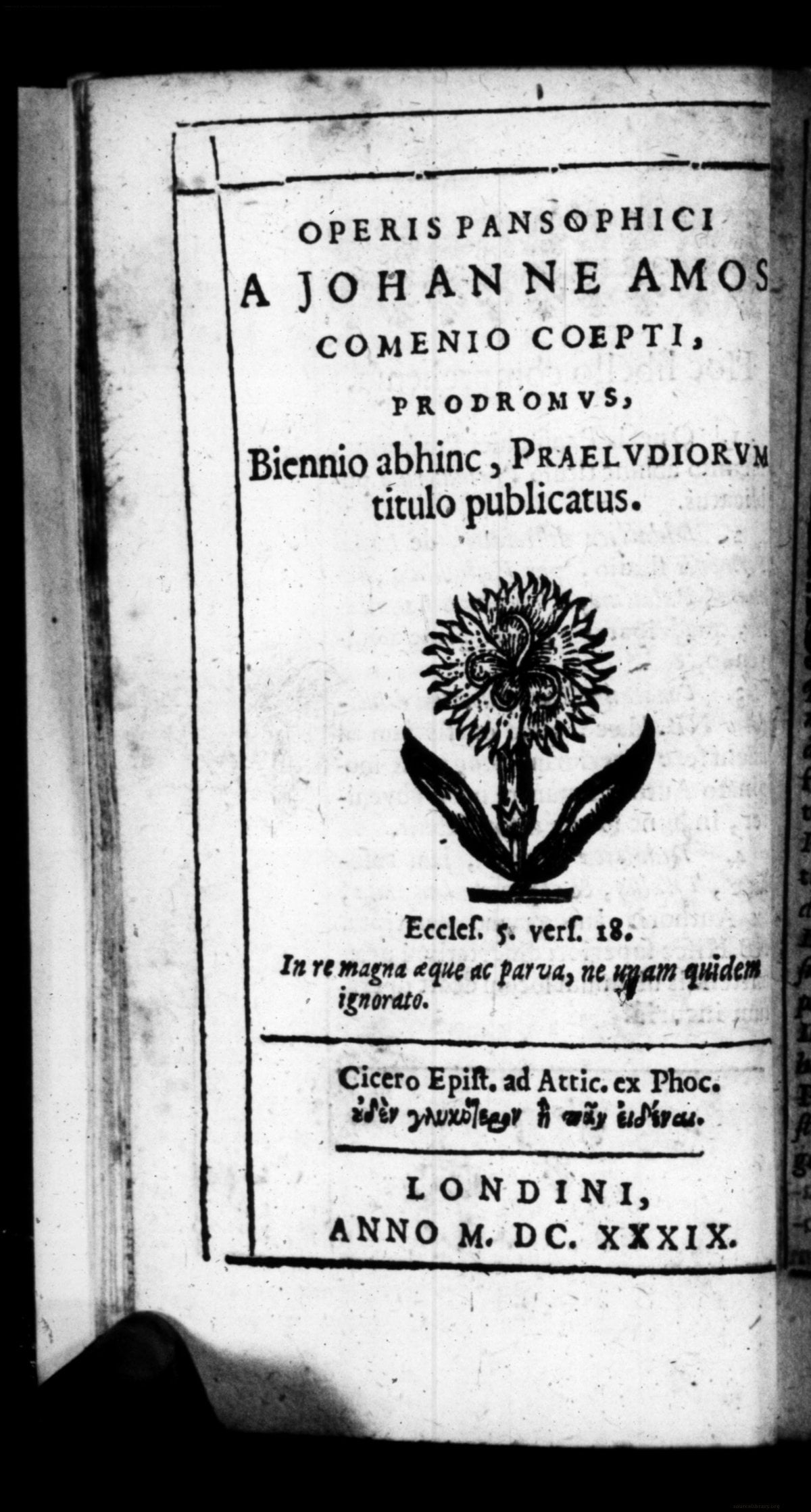 A Forerunner of Universal Wisdom