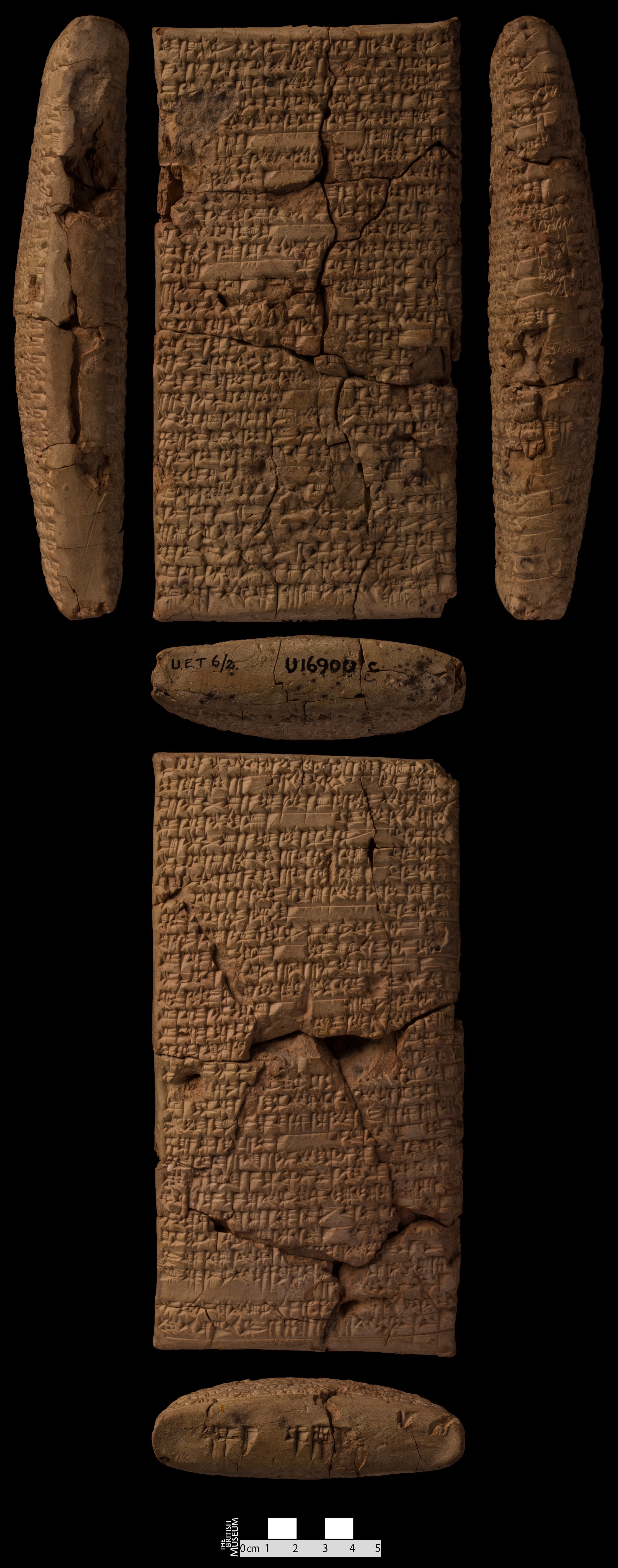 Ninurta and the turtle