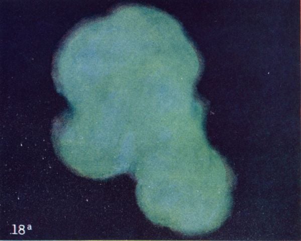 Thought Form 18a: A Sudden Fright