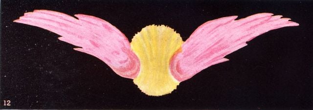 Thought Form 12: Sympathy