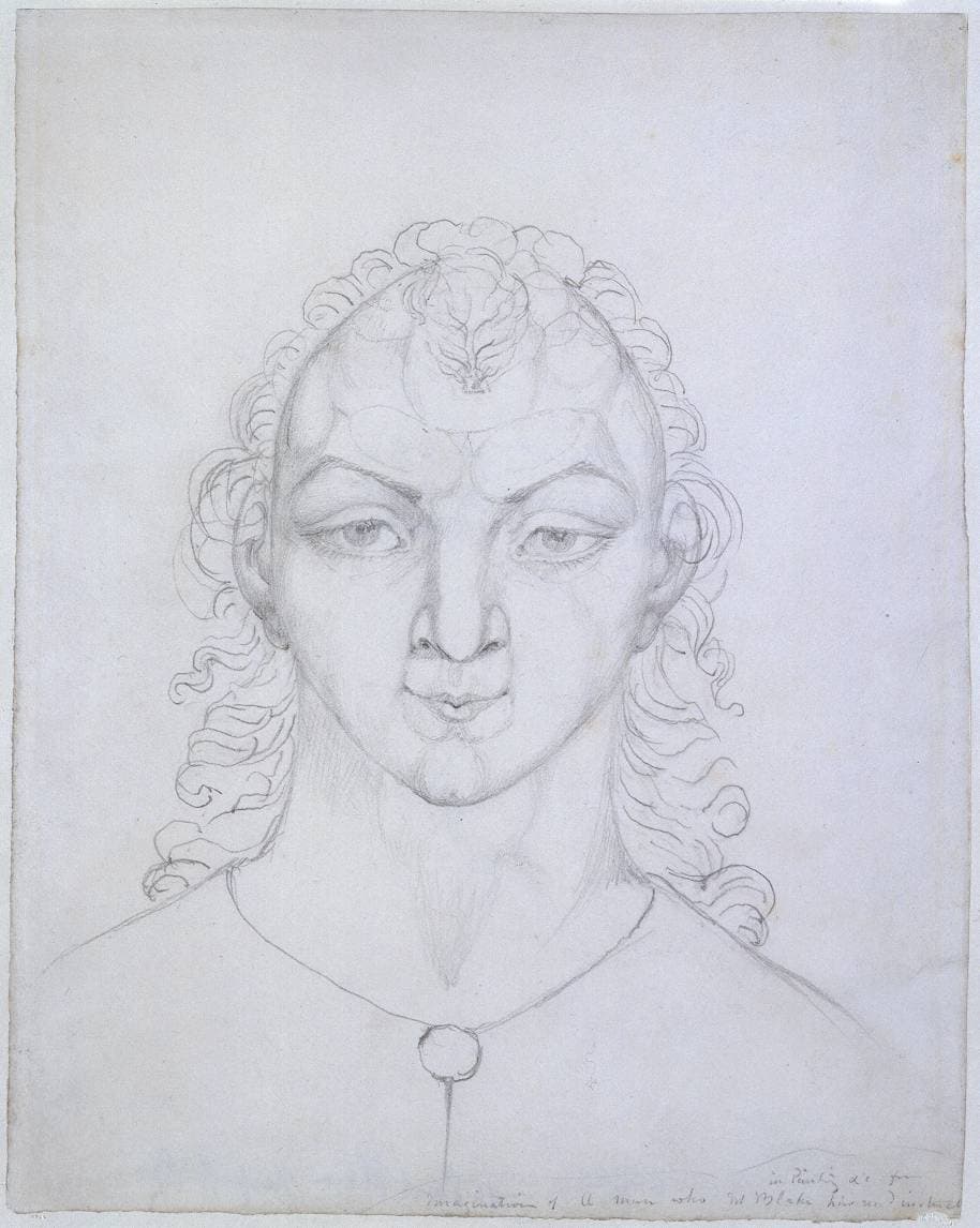 The Man Who Taught Blake Painting in his Dreams