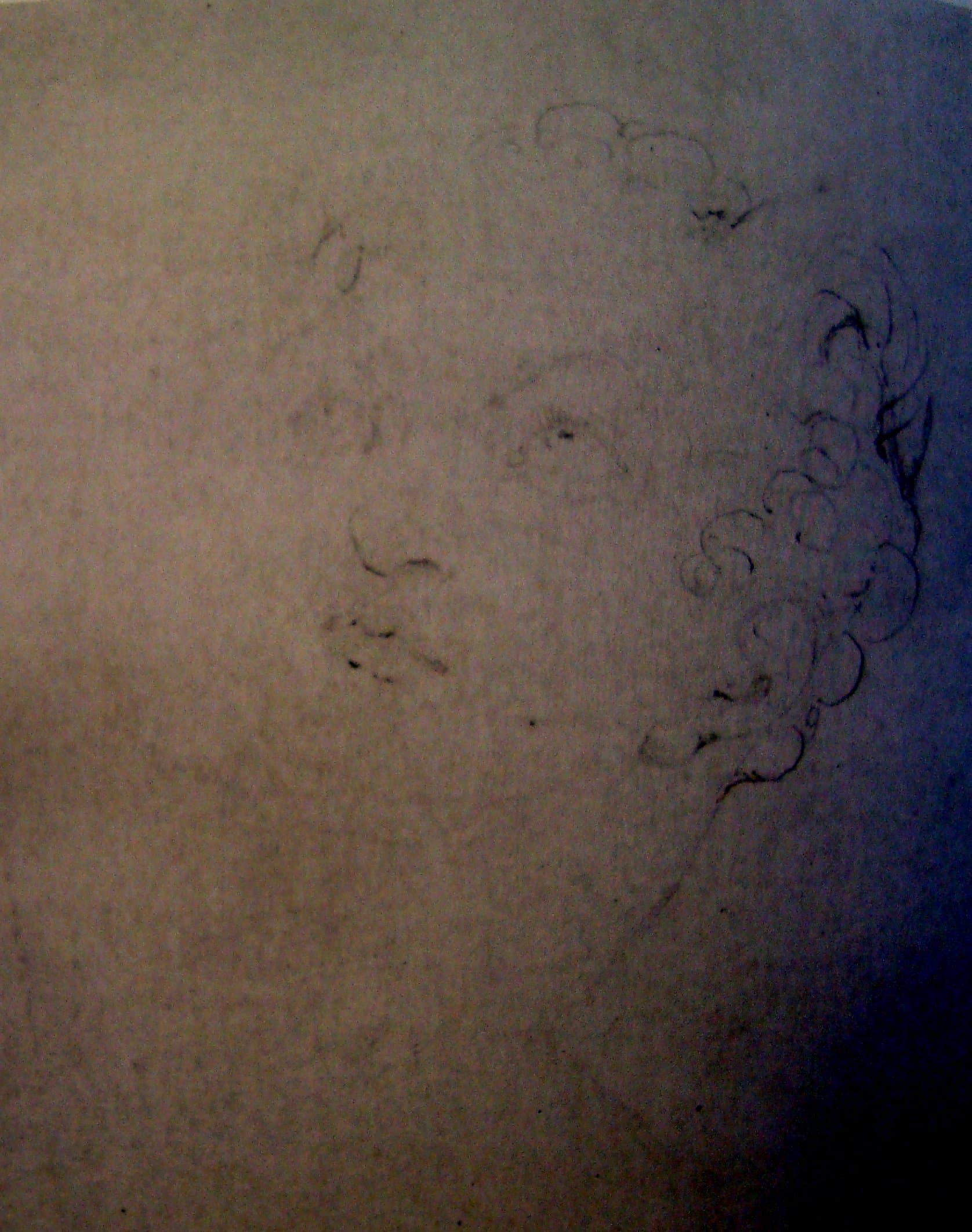 William Blake –Classic Head of a Young Faun, 715 c 1819-20, 227x189mm – Private Collection, Great Britain