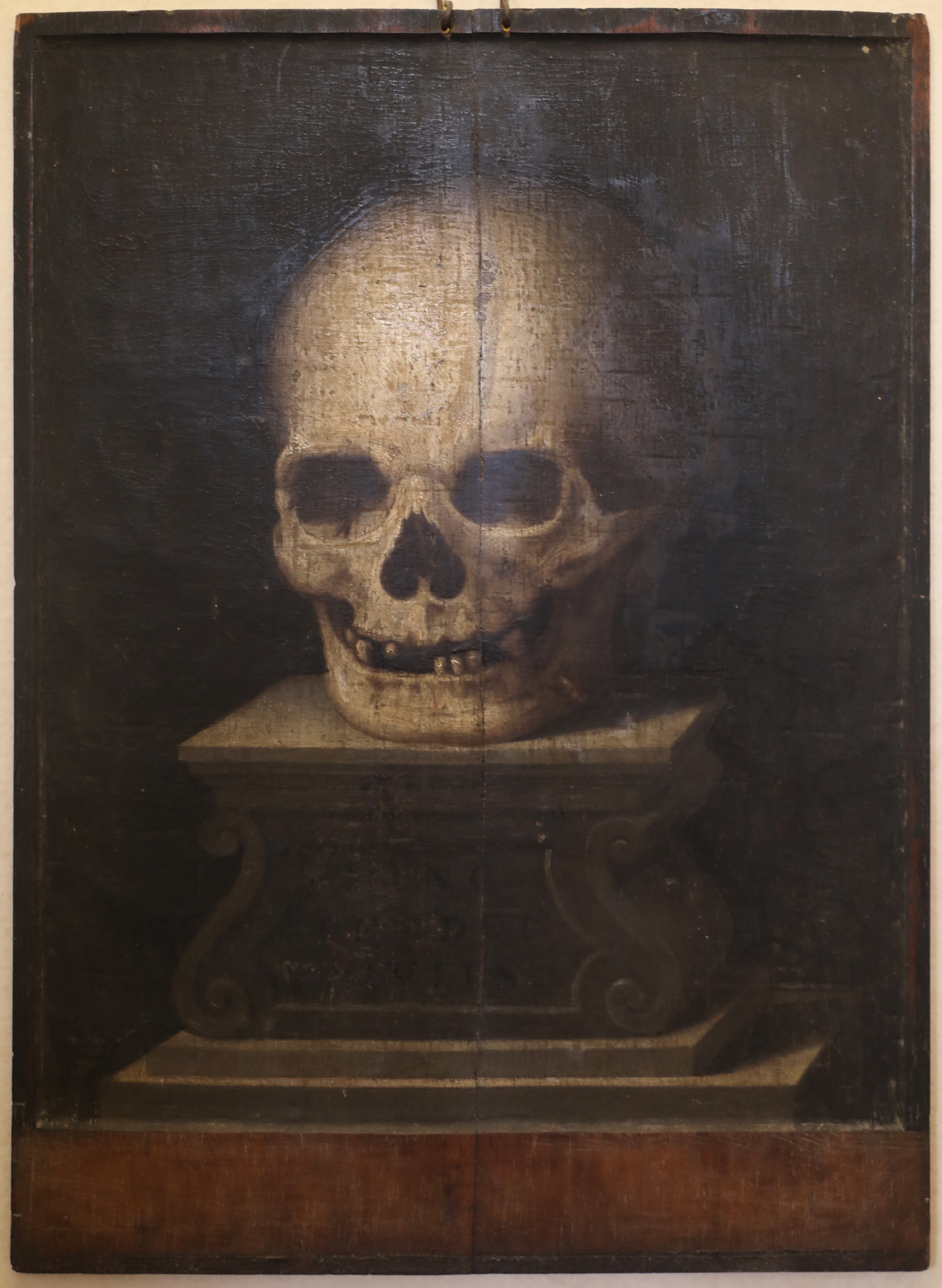 Scuola fiorentina, memento mori, xvii secolo, dal monastero di san salvi, 01 teschio